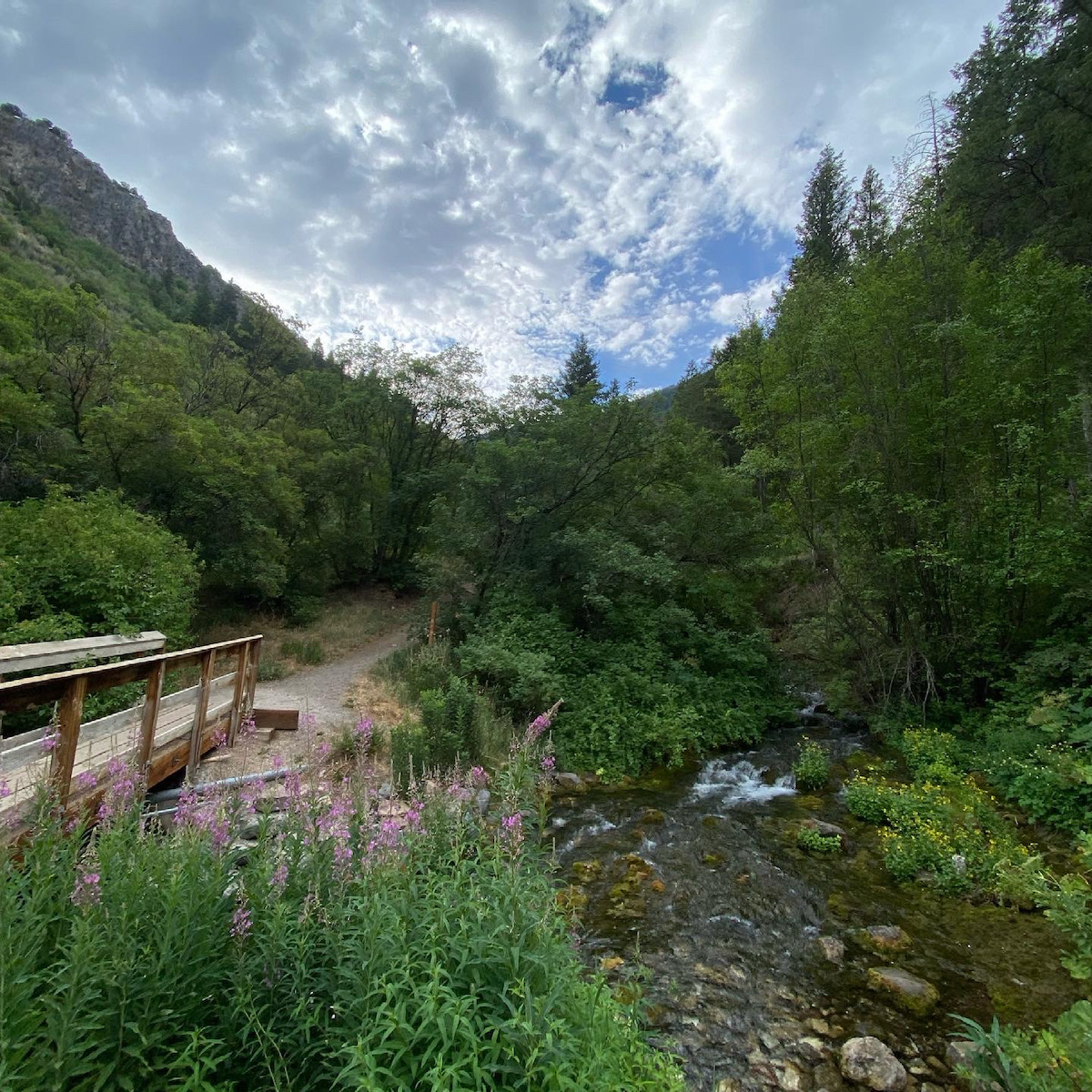 Wooden Bridge top of Spring Hollow in Logan Canyon