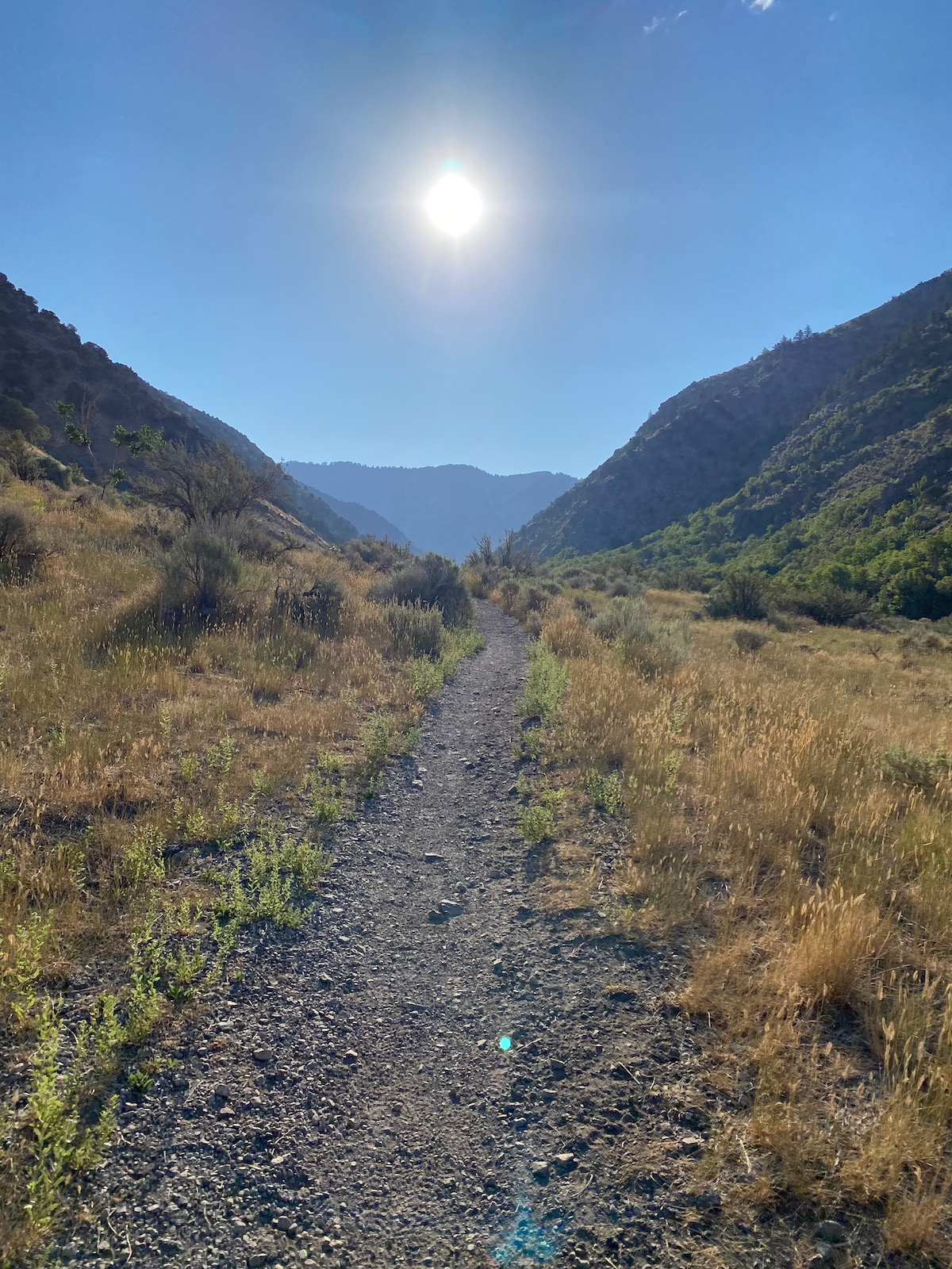 Mouth of Green Canyon in Cache Valley Utah. Sage brush with hot sun in the background