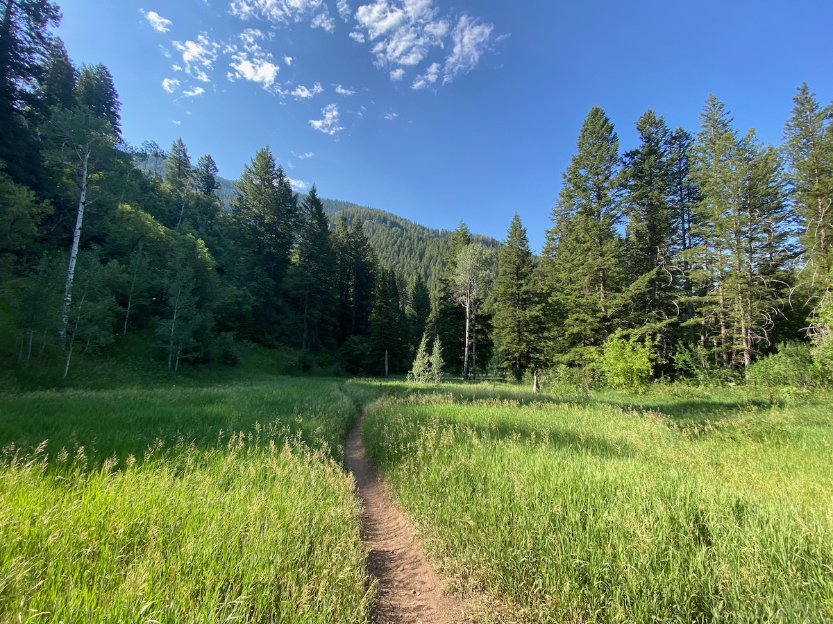 Mountain meadow at the top of Green Canyon