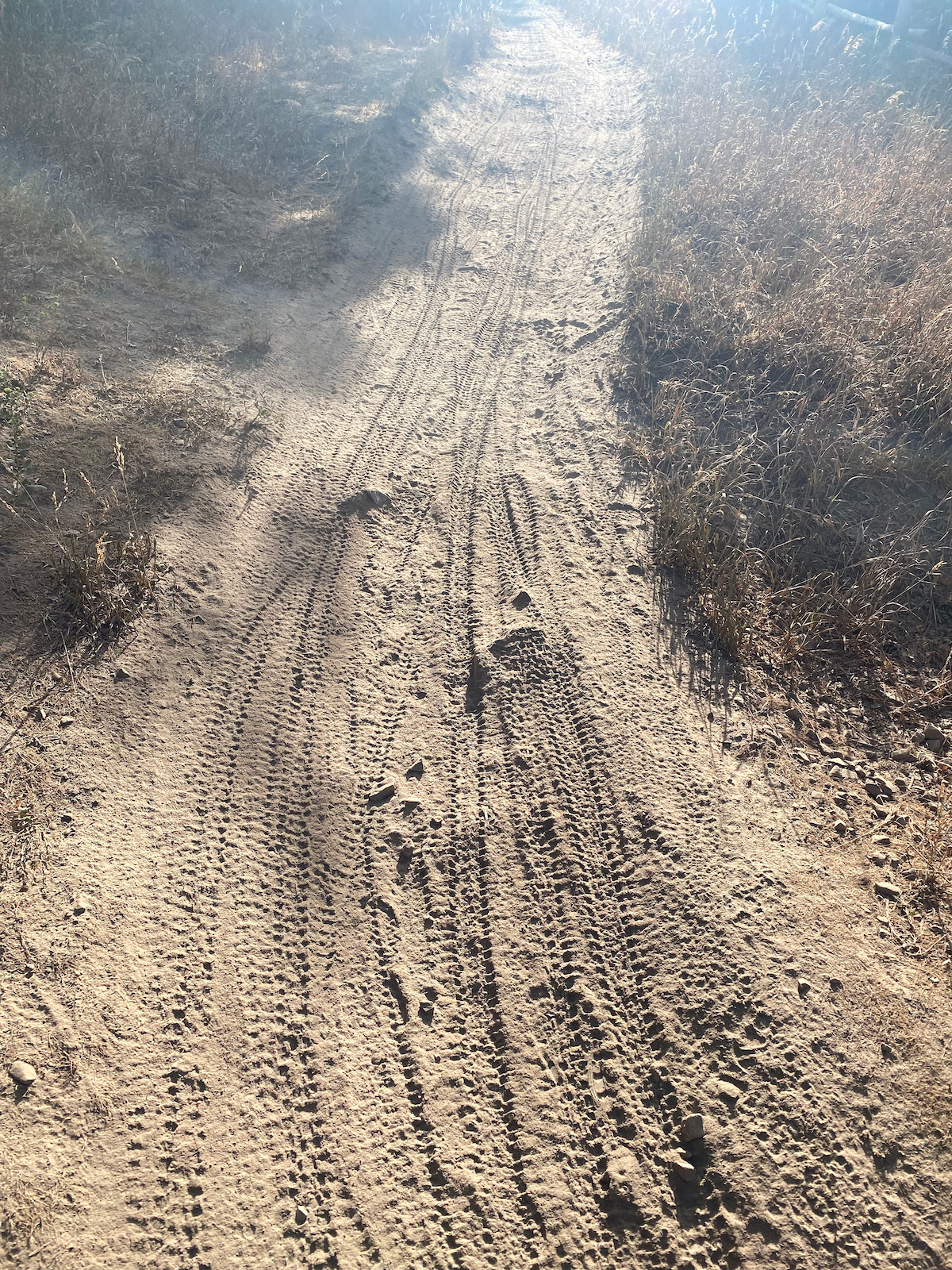 moondust on the trail
