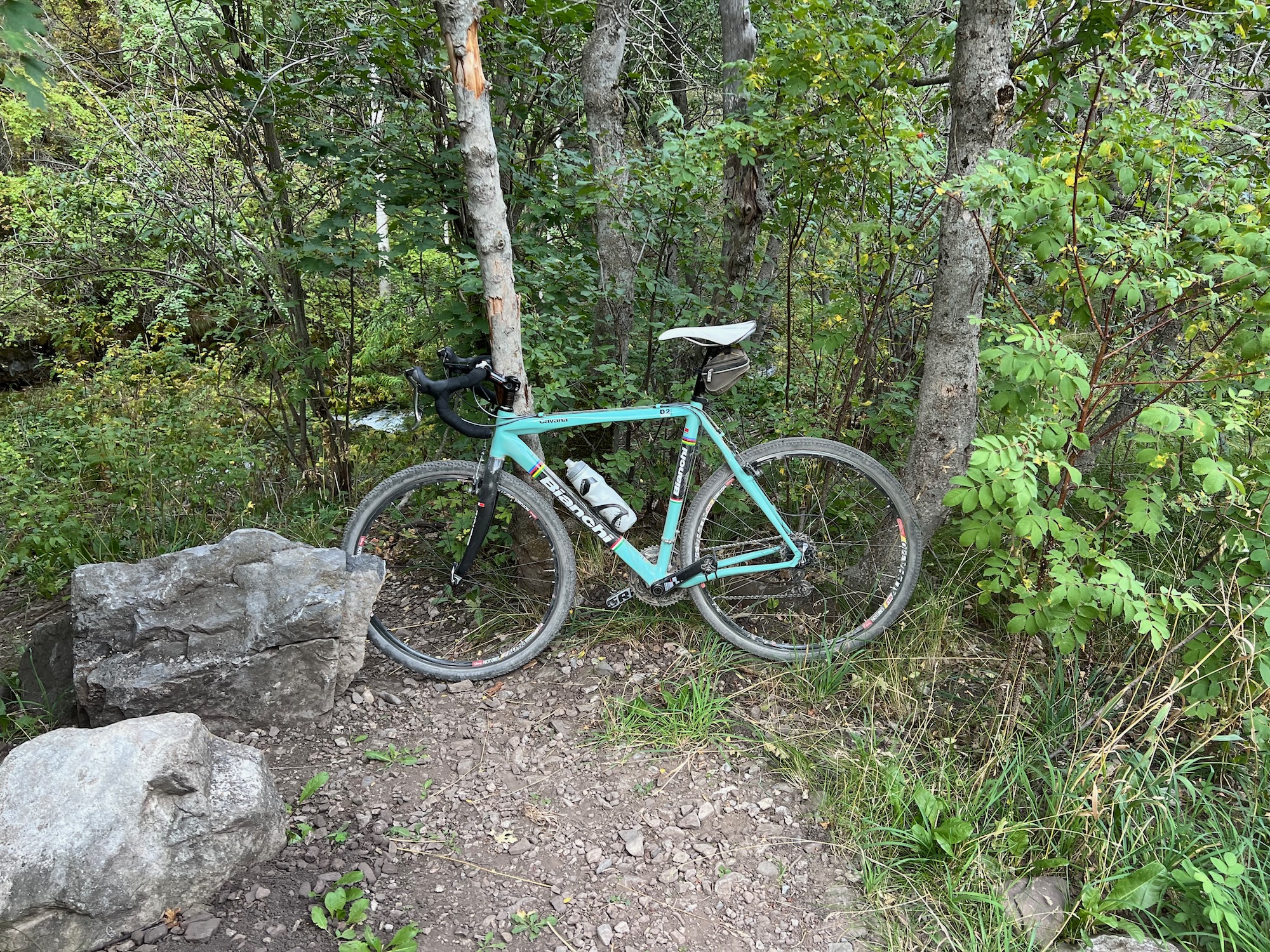 Bianchi Cavaria