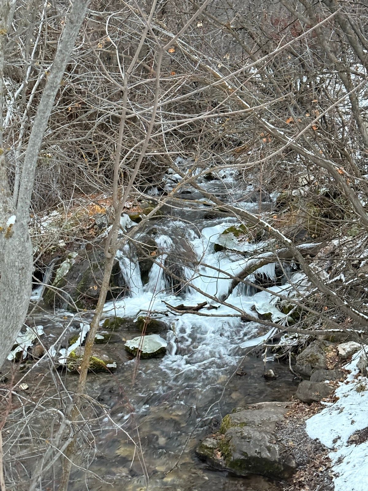 A small stream flows over rocks in a snowy forest, surrounded by bare trees and branches.