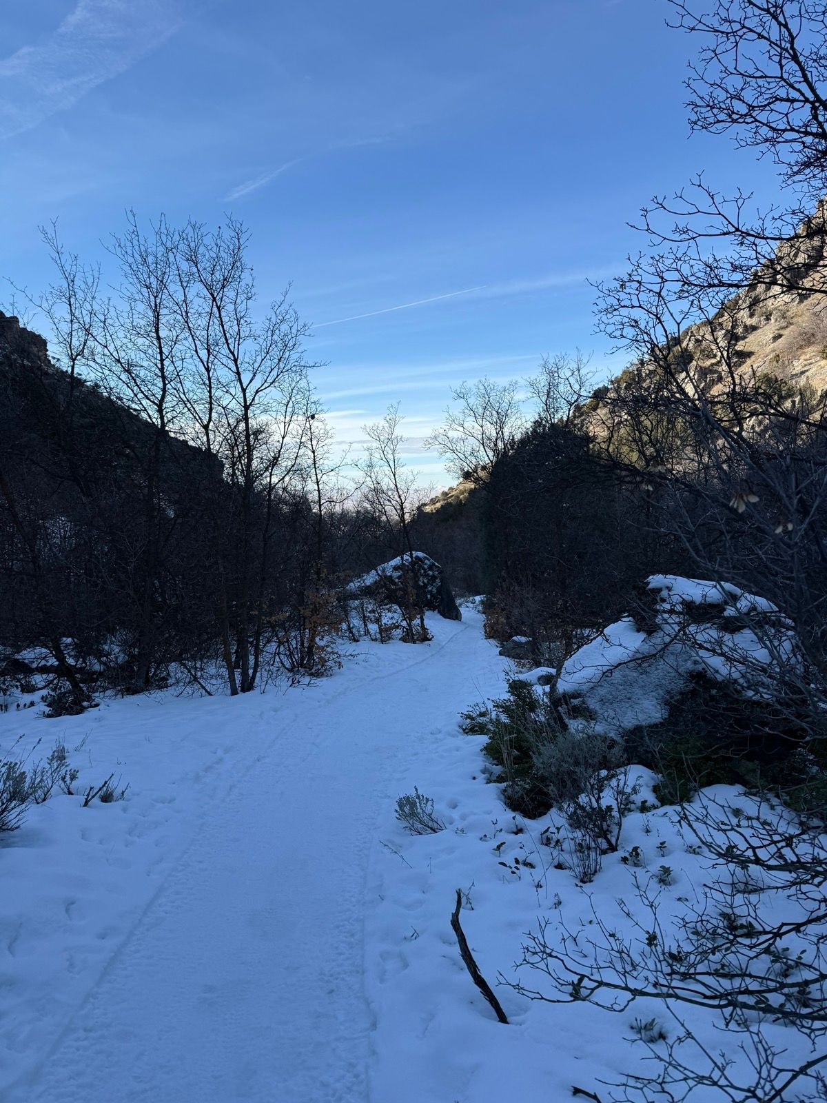 A snow-covered trail leads through a canyon with bare trees on either side, under a clear blue sky in Providence Canyon, Utah.