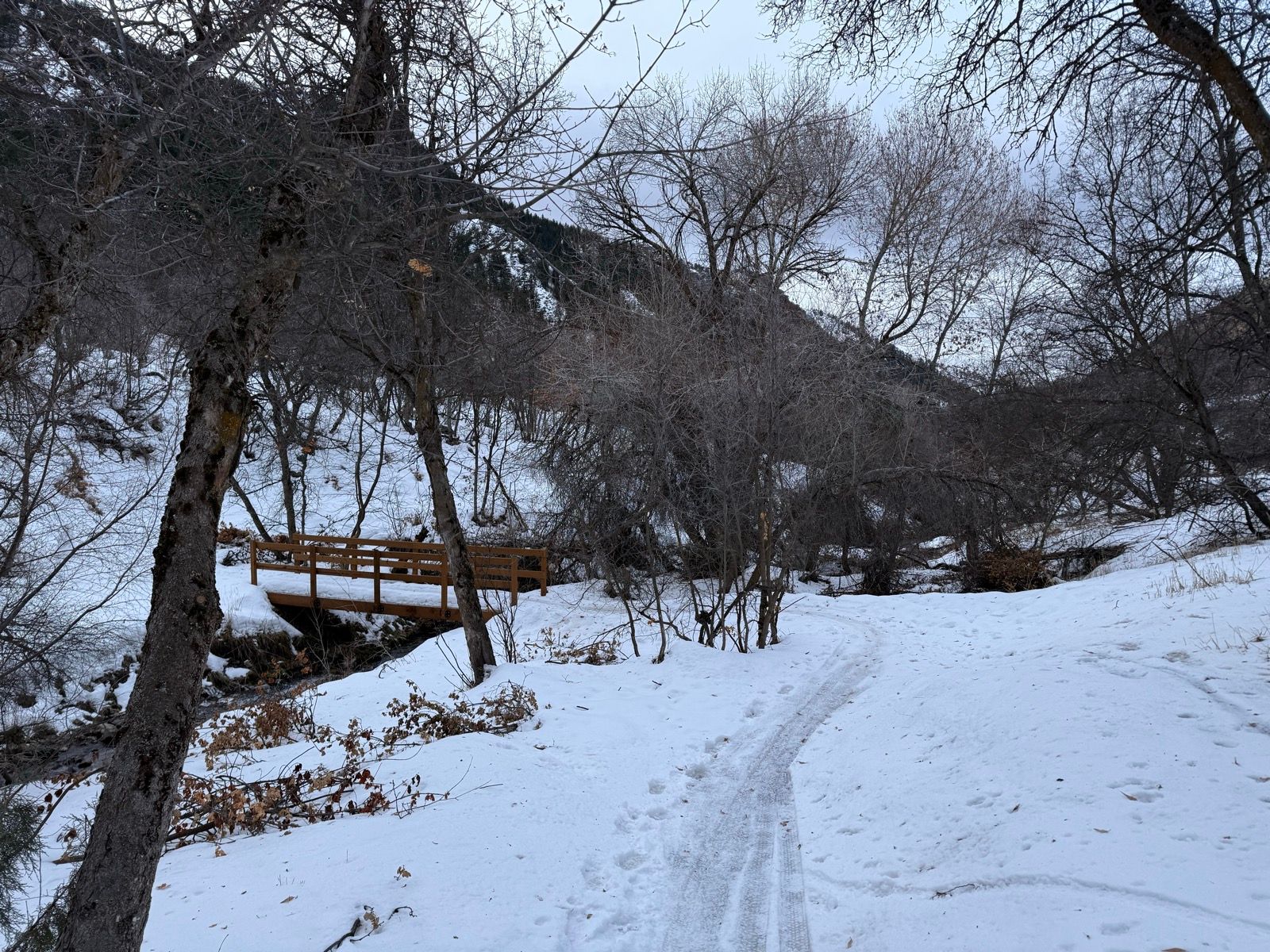 A snowy landscape in Logan, Utah, featuring a wooden bridge crossing a small stream. Leafless trees border a winding path through the snow.