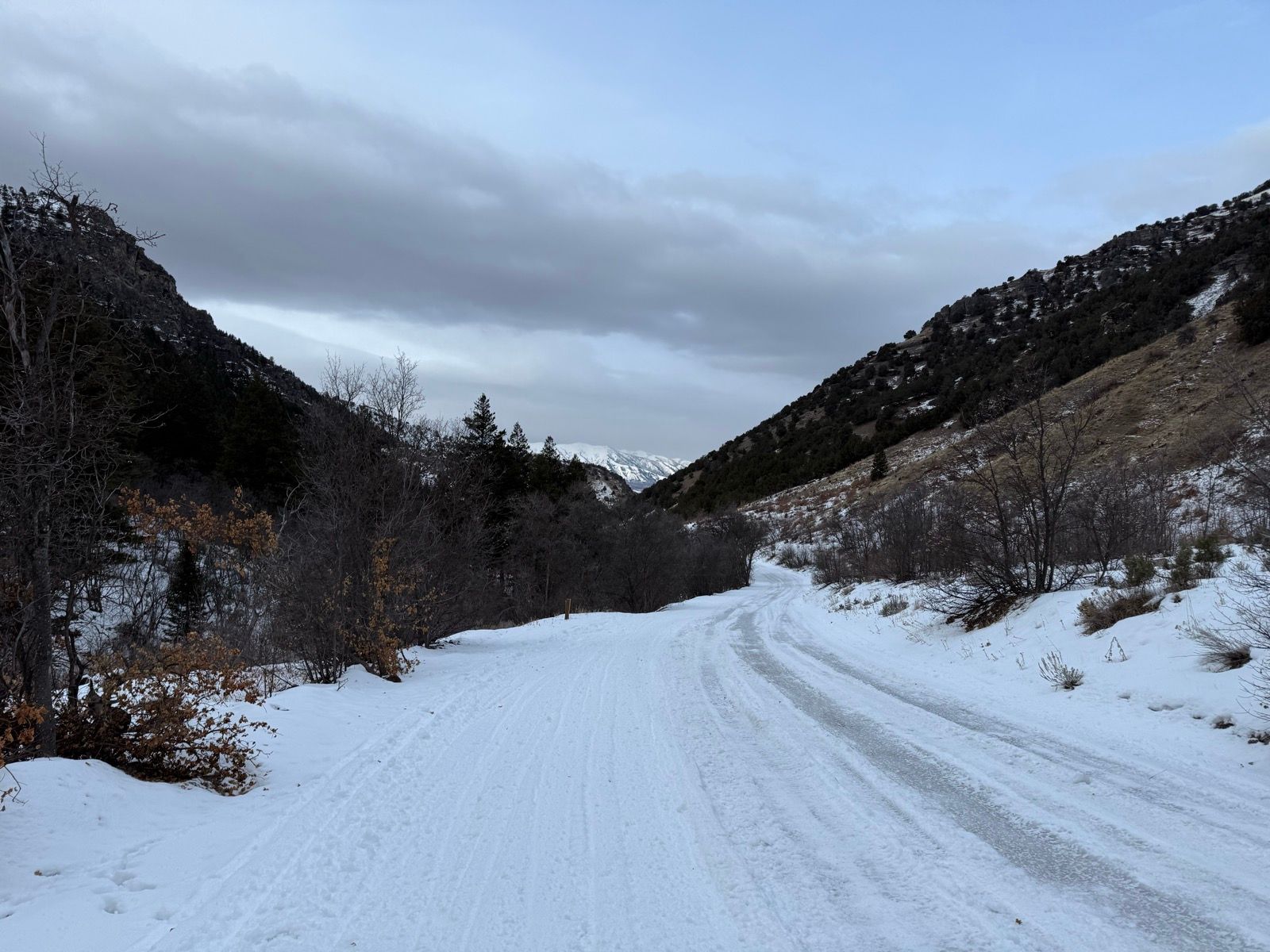 A snowy dirt road winds through a mountainous landscape in Logan, Utah. The scene features hills covered in patches of snow and sparse tree growth under a cloudy sky.