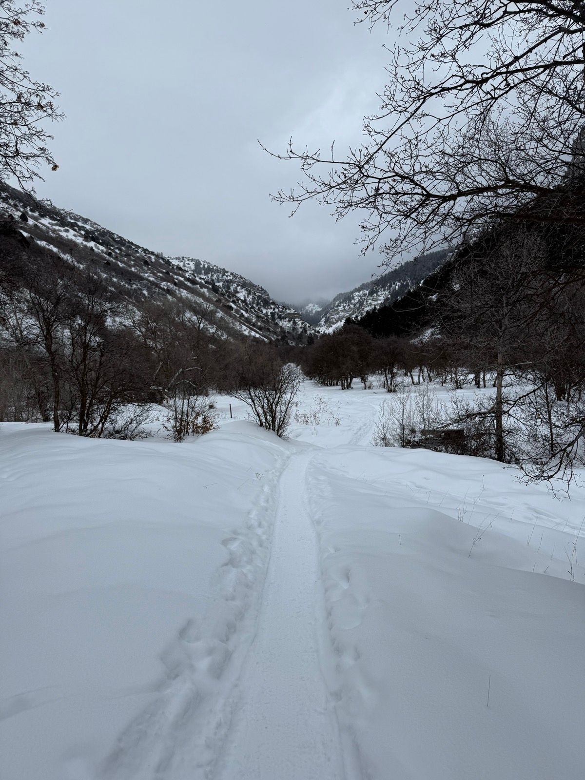 A snow-covered path leads through a winter landscape in Providence, Utah. Mountains are visible in the background, partially obscured by clouds, and trees line the sides of the path. The scene is tranquil and overcast.