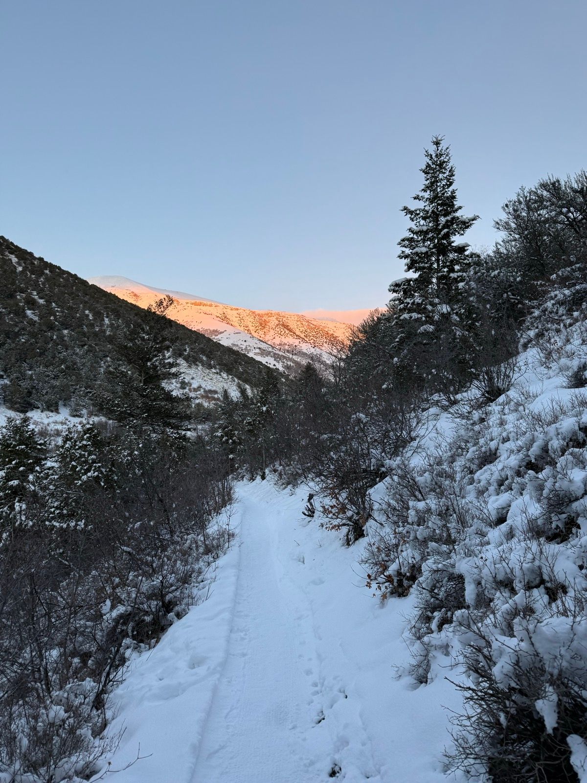 Snow-covered trail winding through a mountain landscape in Providence, Utah, with trees lining the path and sunlight illuminating the peaks in the background.