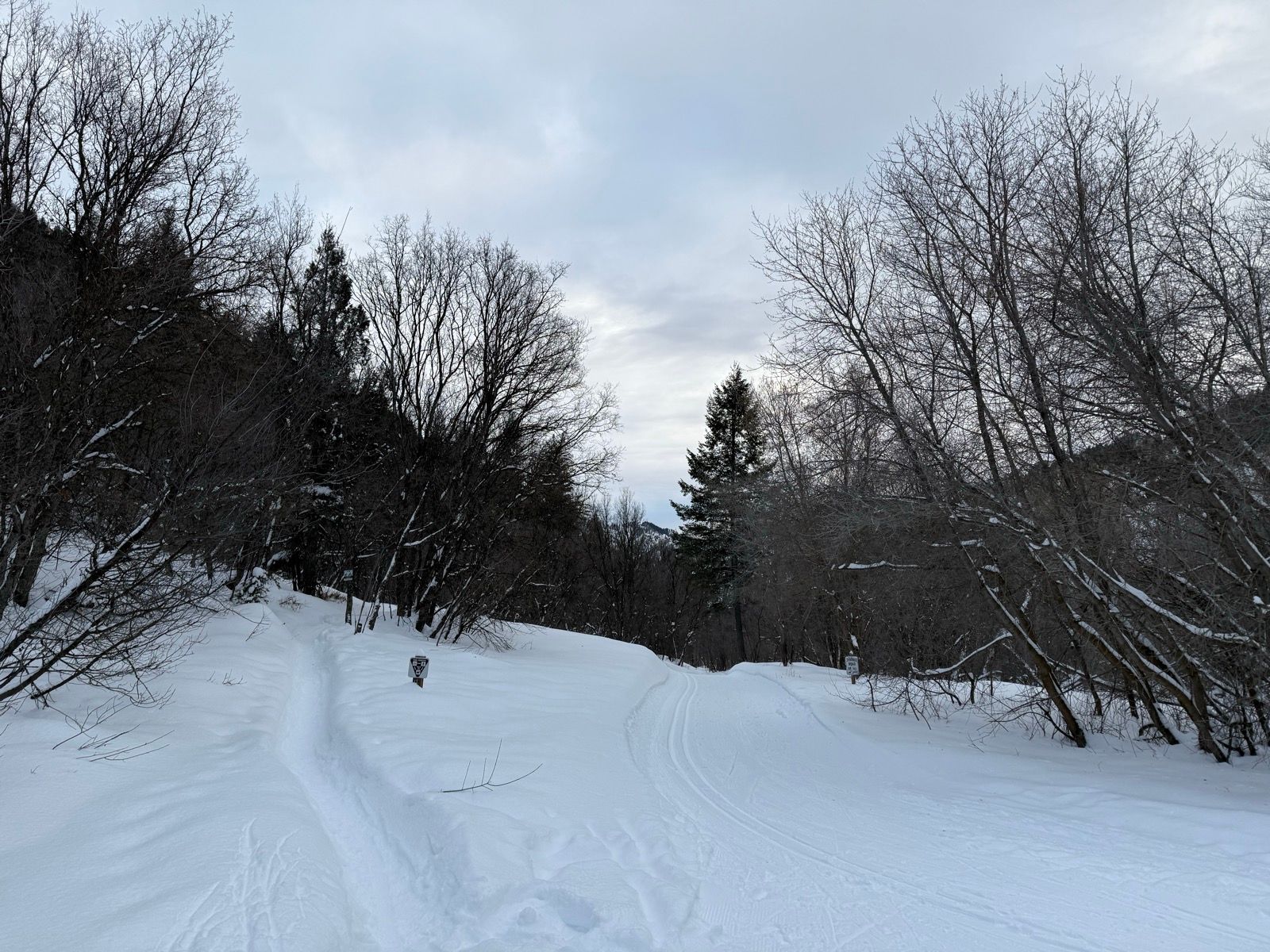 A snowy path winds through a winter landscape in Smithfield, Utah, with bare trees on either side and a cloudy sky above.