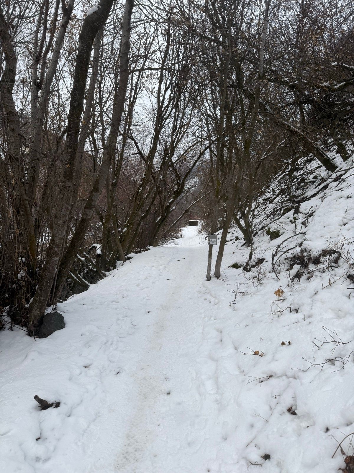 A snowy trail lined with bare trees in Providence, Utah. The path is mostly covered in snow, with some footprints visible. The scene is set under a cloudy sky, creating a quiet, serene atmosphere.