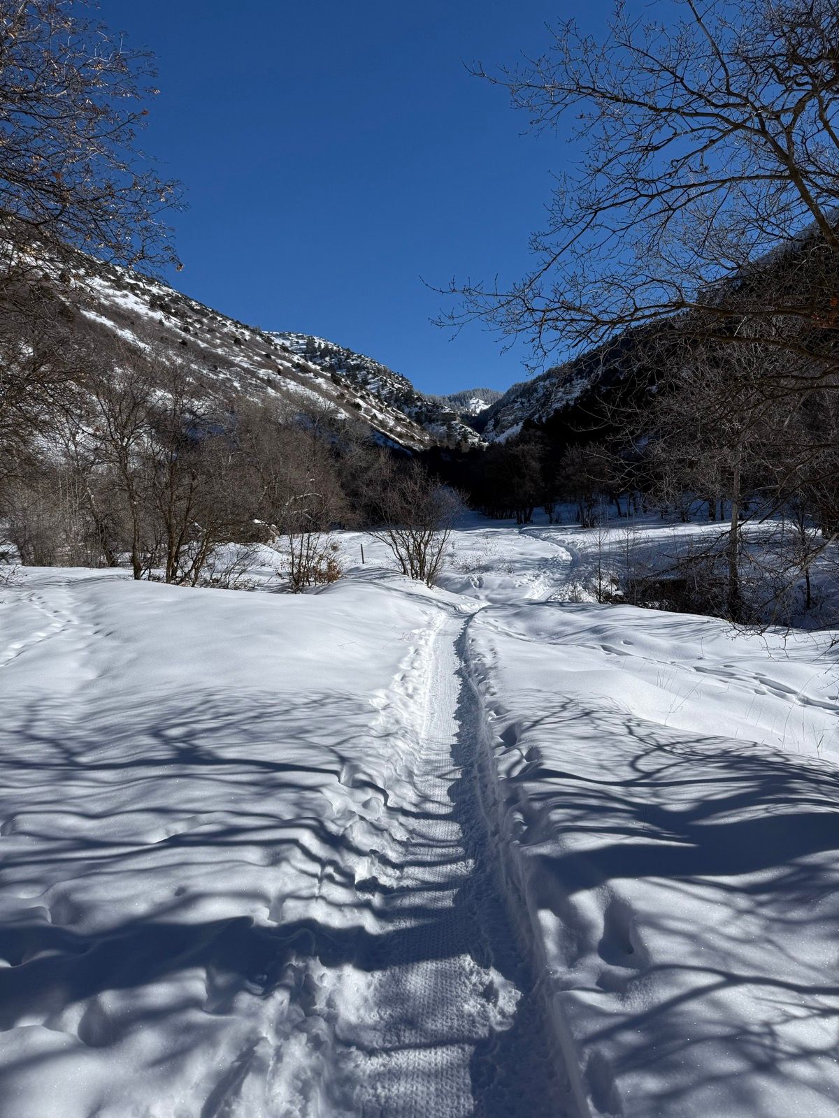 A snow-covered path leads through a winter landscape in Providence, Utah. The scene features hills and mountains in the background under a clear blue sky, with trees on either side casting long shadows on the snowy ground.