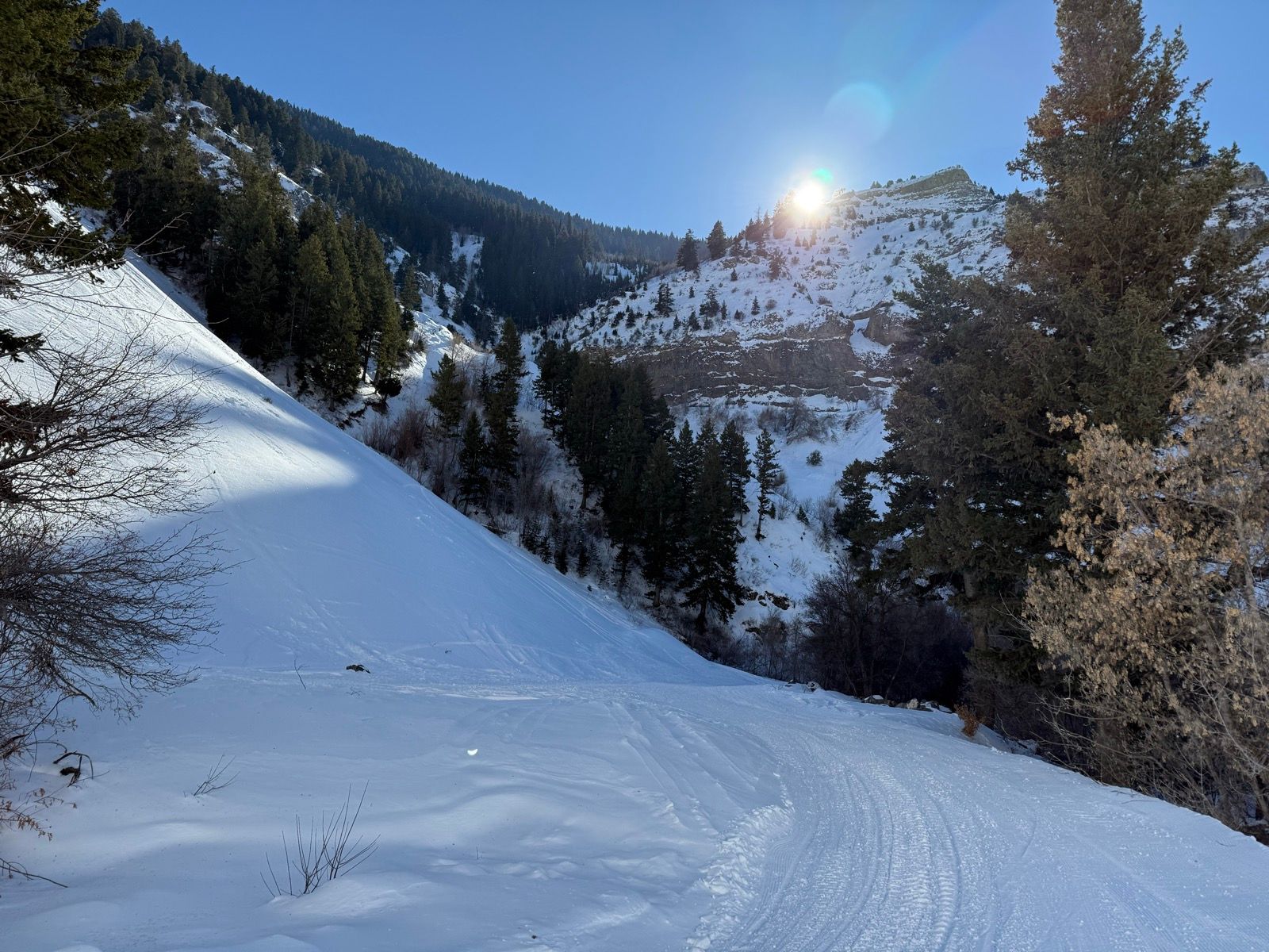 A snow-covered landscape in Providence, Utah, featuring a sunlit mountain slope with dense evergreen trees. The scene includes a winding path in the snow, leading towards the mountains in the background.