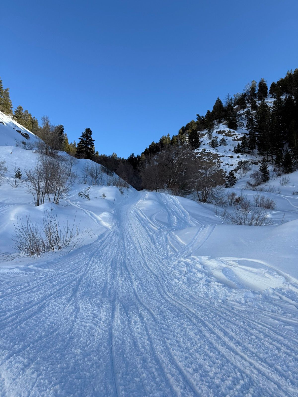 A winter scene in Providence, Utah, featuring a snow-covered trail winding through a valley. The landscape is surrounded by snow-covered hills and evergreen trees under a clear blue sky.