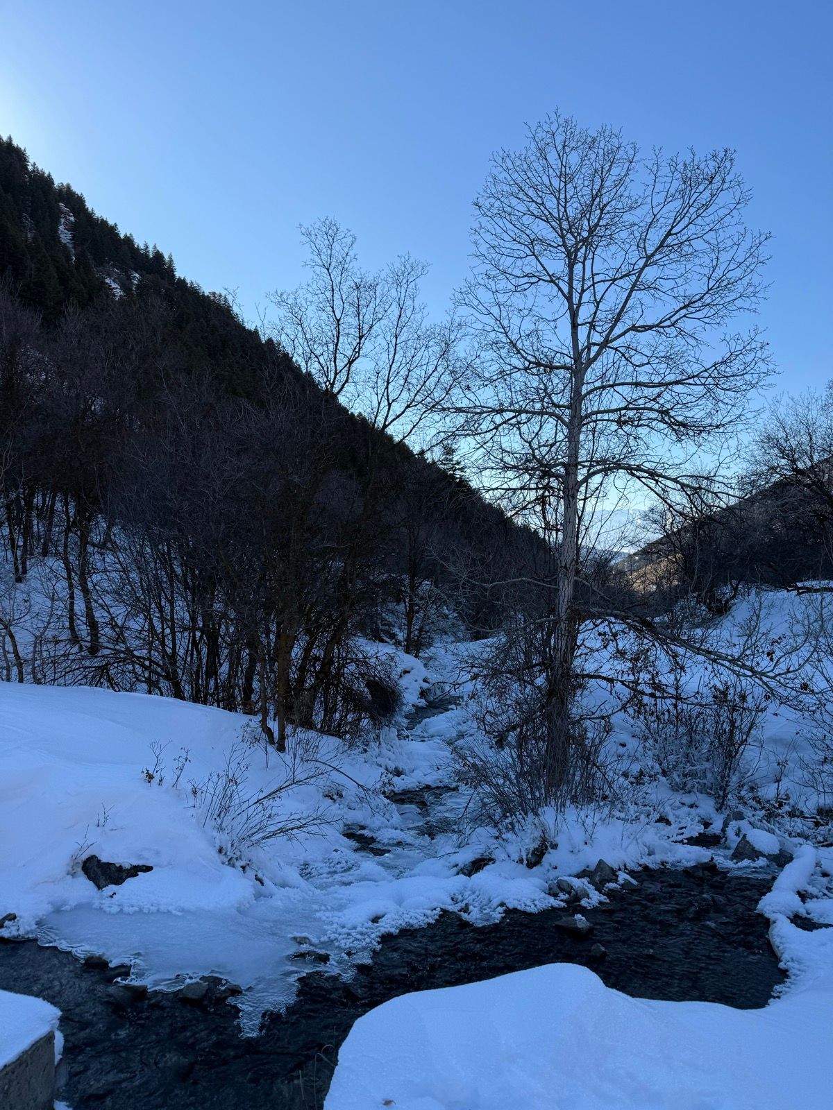 A snowy landscape in Providence, Utah, featuring a small creek running through the scene. Leafless trees are visible on both sides, with snow-covered ground and a clear blue sky above.