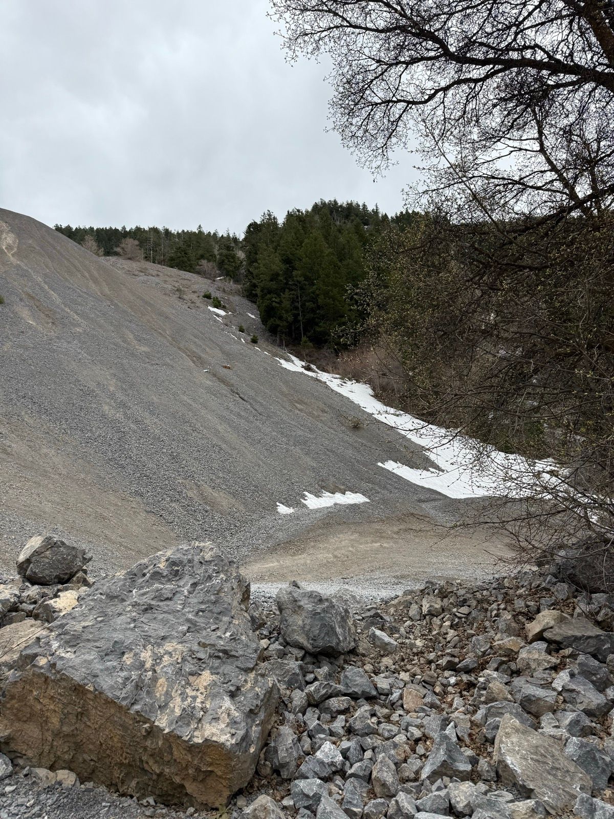 A rocky slope leading up to a forest of evergreen trees under a cloudy sky, with patches of snow visible on the ground at Providence Canyon, Utah. Large rocks are in the foreground.