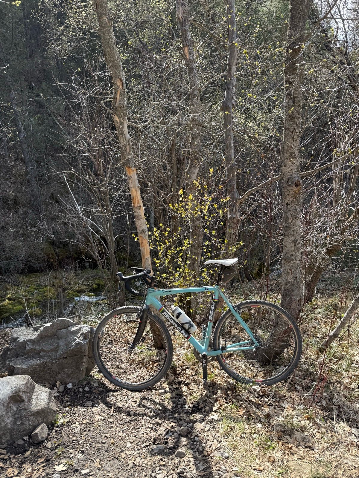 A teal bicycle is parked next to a rocky area amidst trees with budding leaves in Paradise, Utah. The background includes dry branches and a glimpse of a stream.