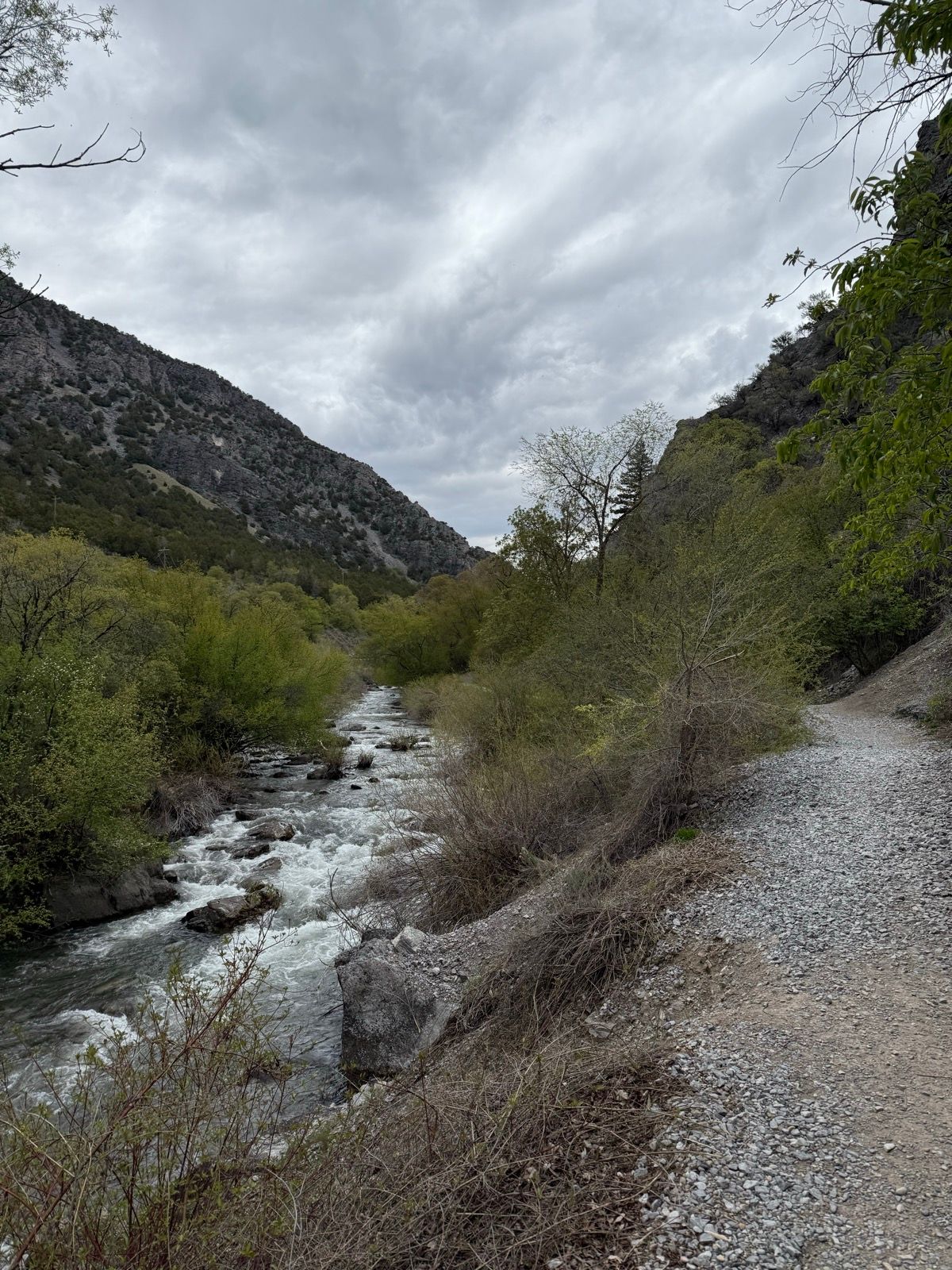A gravel path runs alongside a flowing river surrounded by green trees and rocky mountains under a cloudy sky in Paradise, Utah.