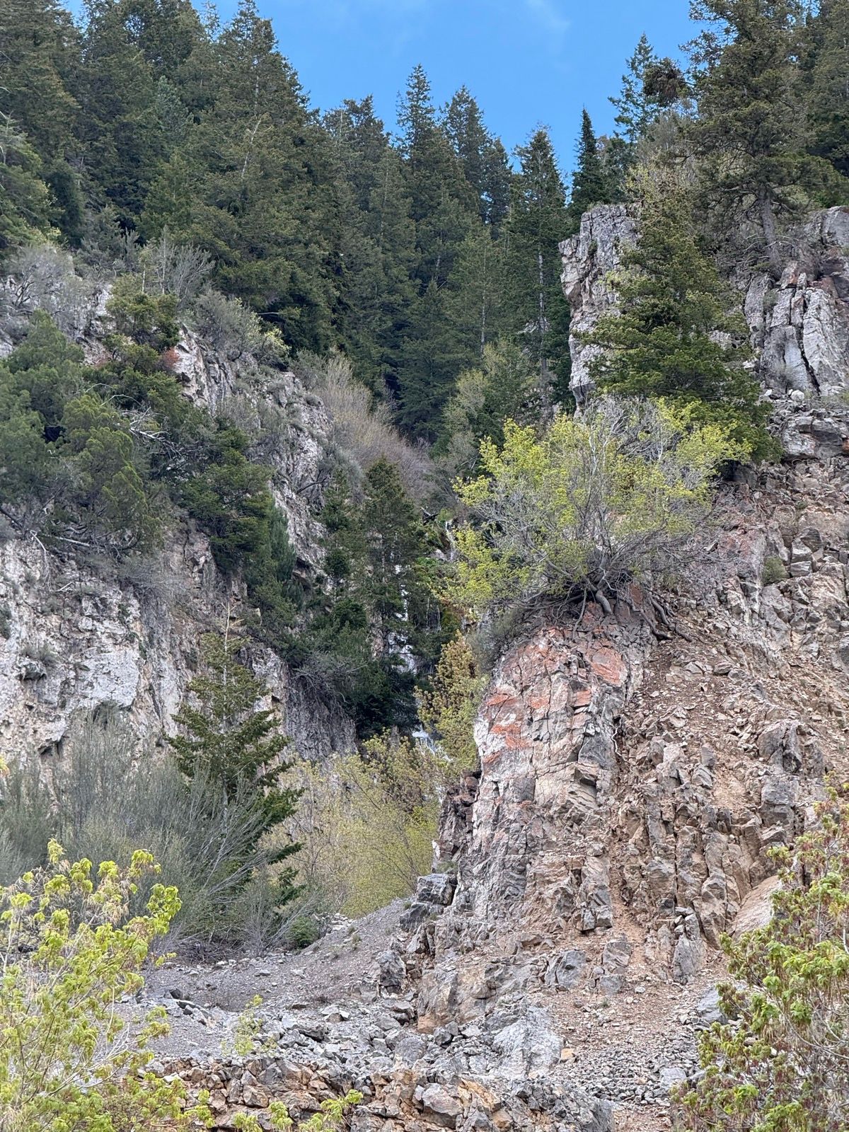 A rocky canyon landscape in Providence Canyon, Utah, featuring steep cliffs covered in green vegetation and trees, with a clear blue sky above.