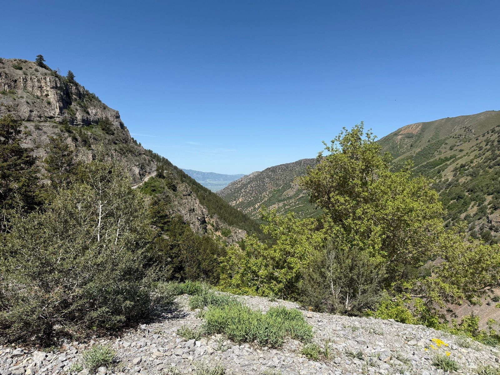 A scenic view of Providence Canyon in Utah, featuring steep rocky hillsides and lush greenery. The clear blue sky is visible above, with distant mountains in the background. The foreground includes shrubs and small plants on a rocky surface.