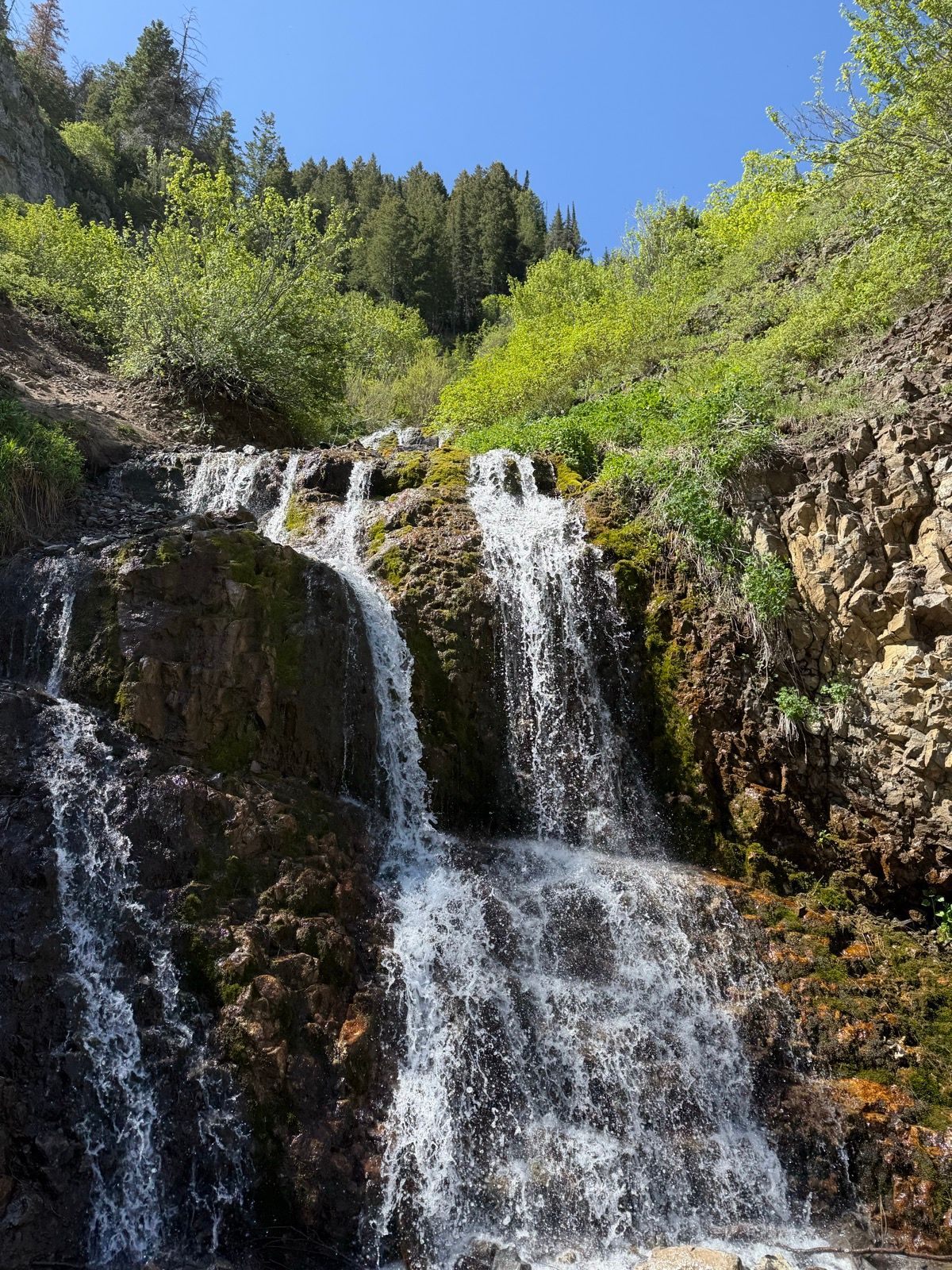A waterfall cascades down rocky terrain surrounded by lush greenery under a clear blue sky at Providence Canyon, Utah.