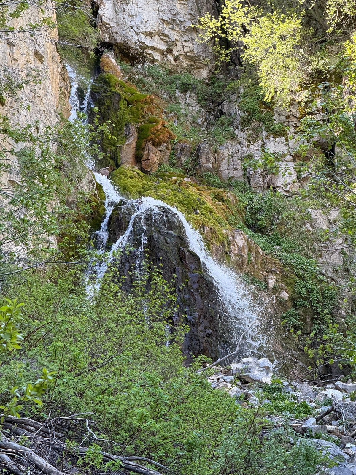 A waterfall cascades down a moss-covered rock face in Providence Canyon, Utah, surrounded by lush green foliage and rugged terrain.