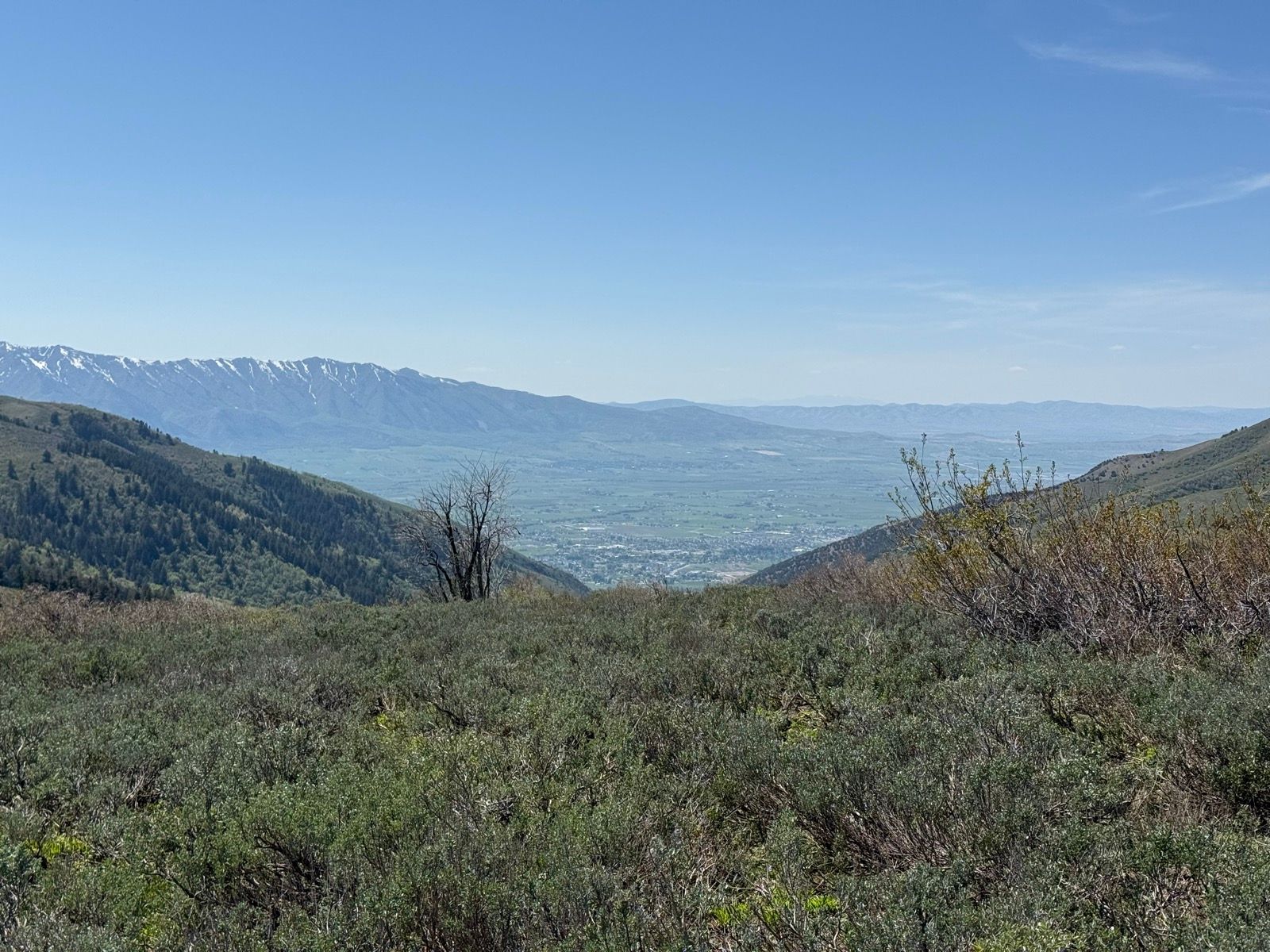 A panoramic view of Providence Canyon, Utah, featuring rolling green hills and a distant valley, with snow-capped mountains in the background under a clear blue sky. Sparse vegetation and shrubs are visible in the foreground.