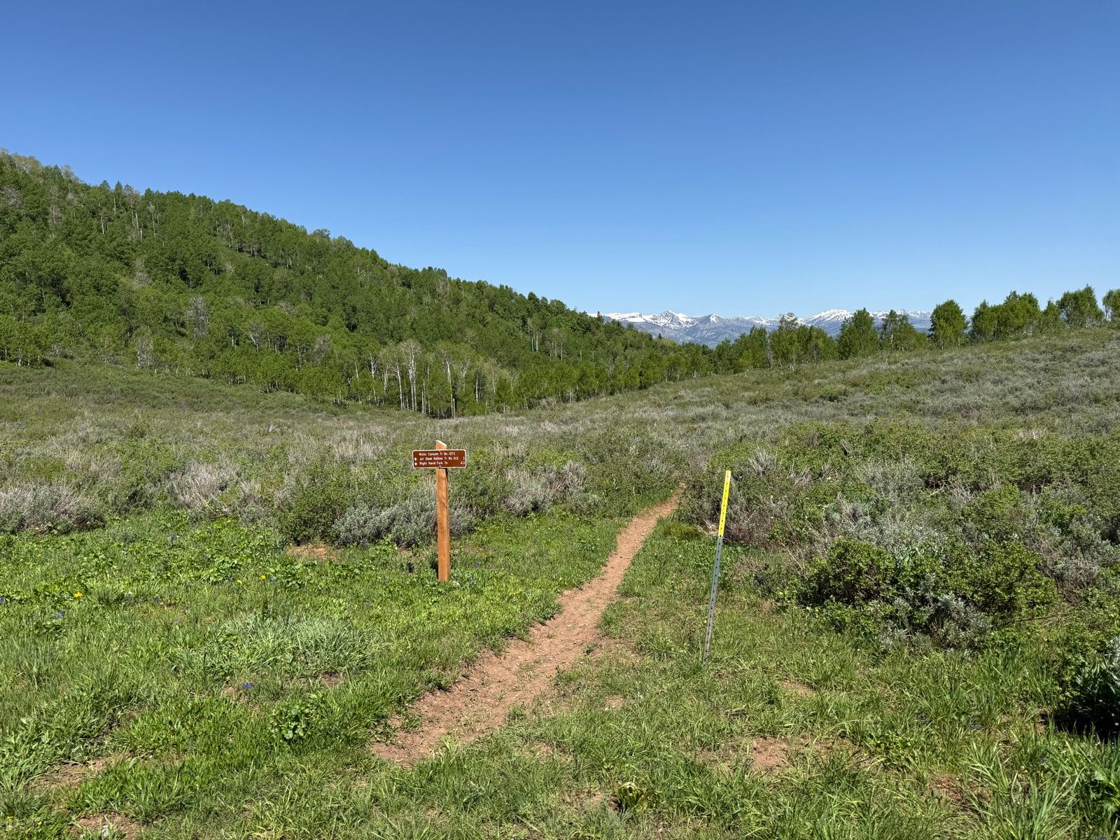 A scenic view of a grassy field in Utah, featuring a dirt path leading into the distance. There is a wooden signpost on the left and a backdrop of lush green hills, with snow-capped mountains visible in the far distance under a clear blue sky.