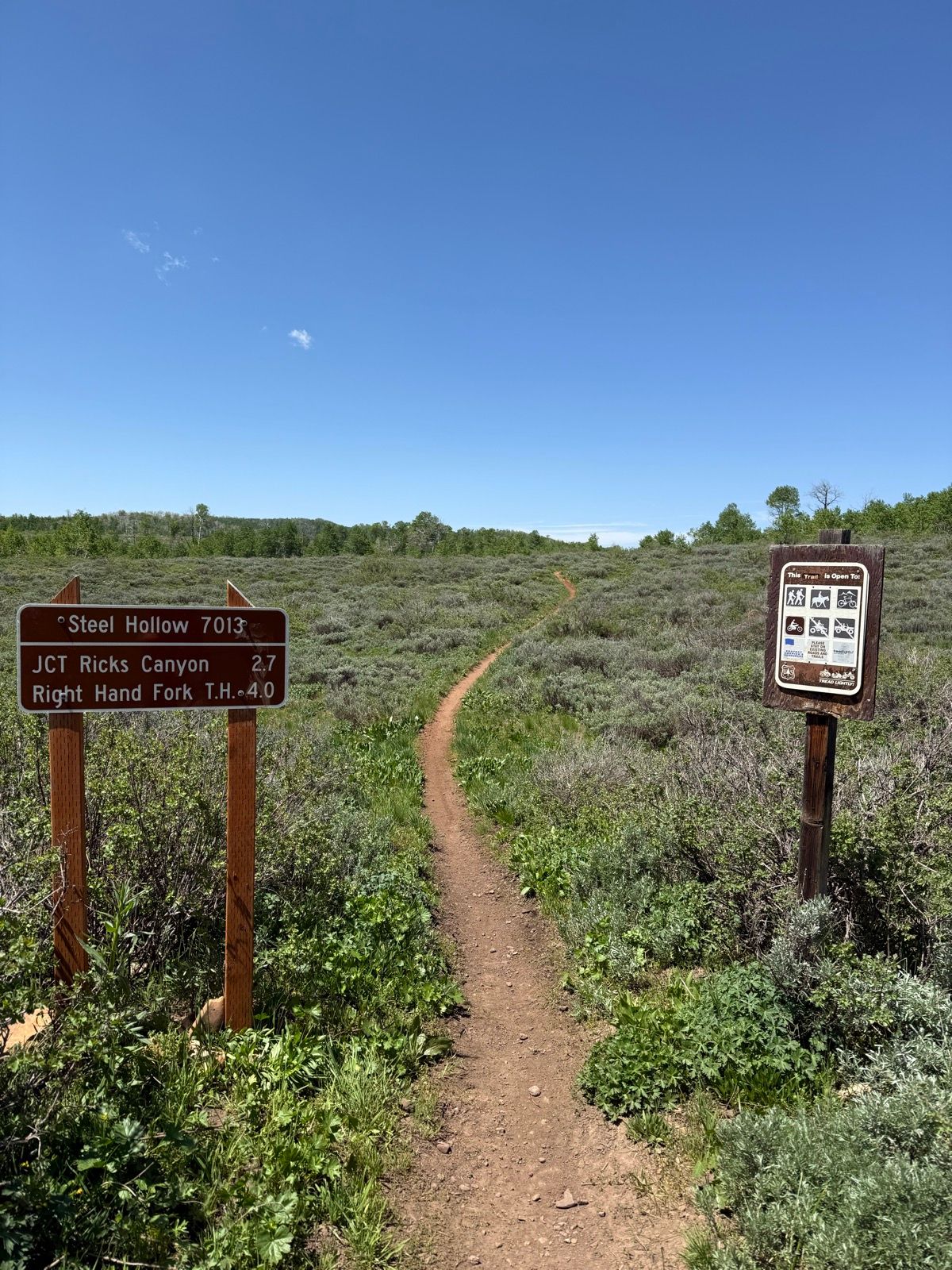 A hiking trail sign marks the junction of Steel Hollow and Ricks Canyon in Utah, leading to a dirt path through a landscape of green shrubs and grass under a clear blue sky.