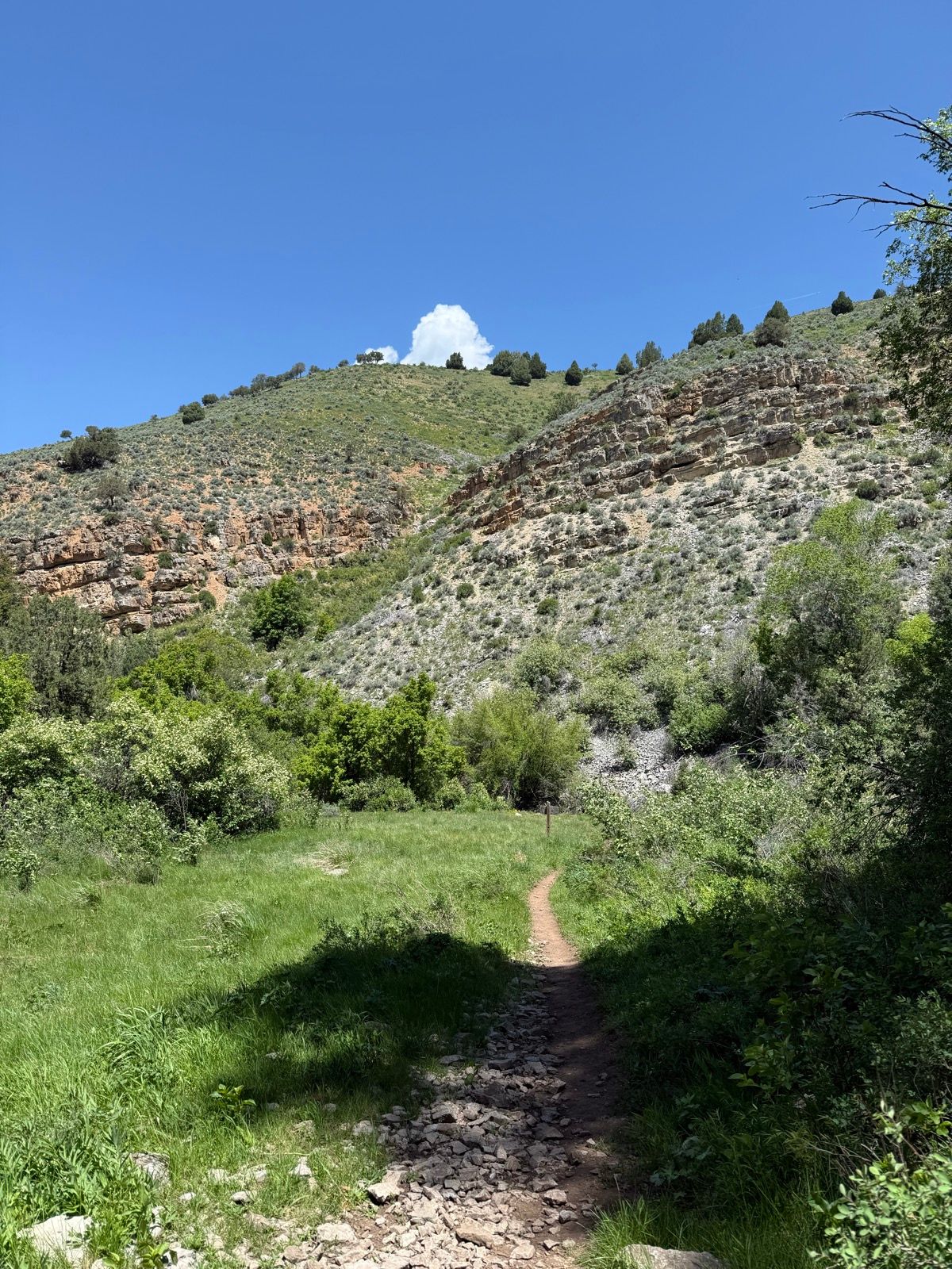 A dirt path winds through lush green grass and shrubs, leading towards a hillside in Utah. The hillside is rocky and covered with small trees, under a bright blue sky with a few fluffy clouds.