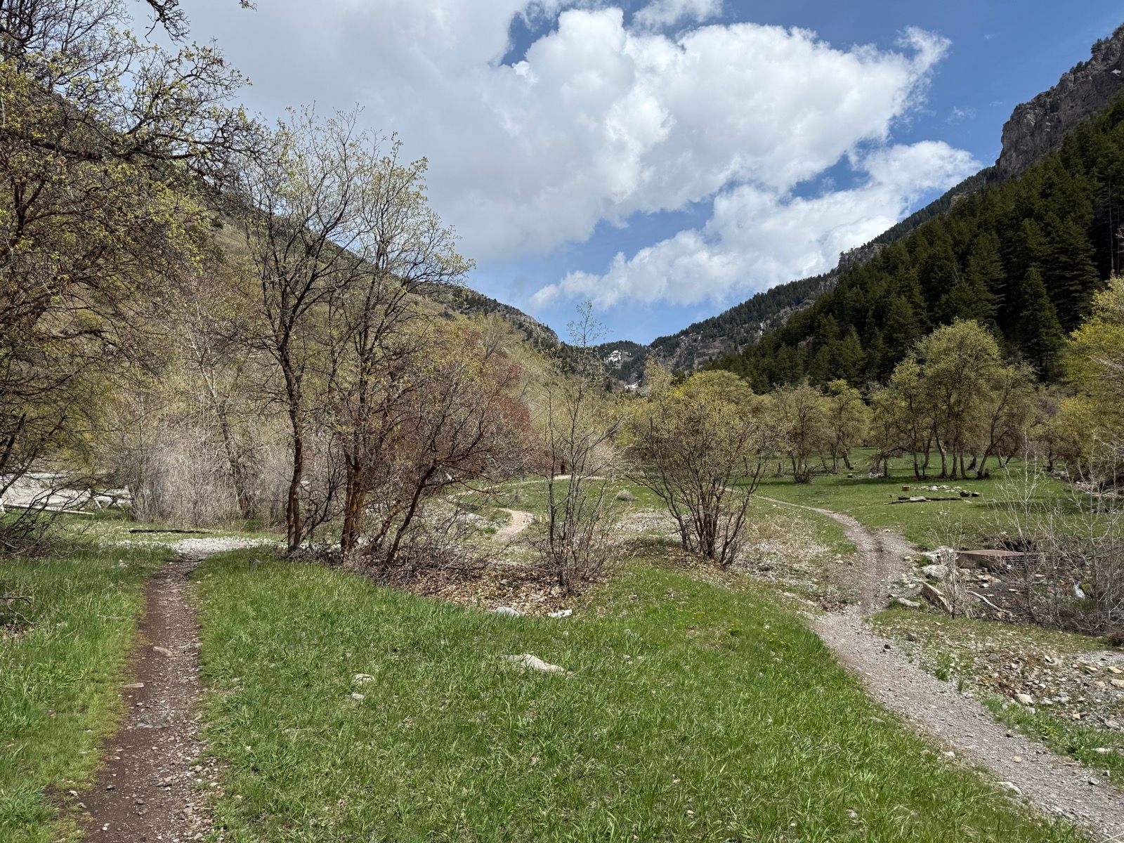 A winding dirt path surrounded by green grass and trees leads through Providence Canyon, Utah, under a partly cloudy blue sky. The scene showcases mountains in the background and signs of spring with budding leaves on the trees.