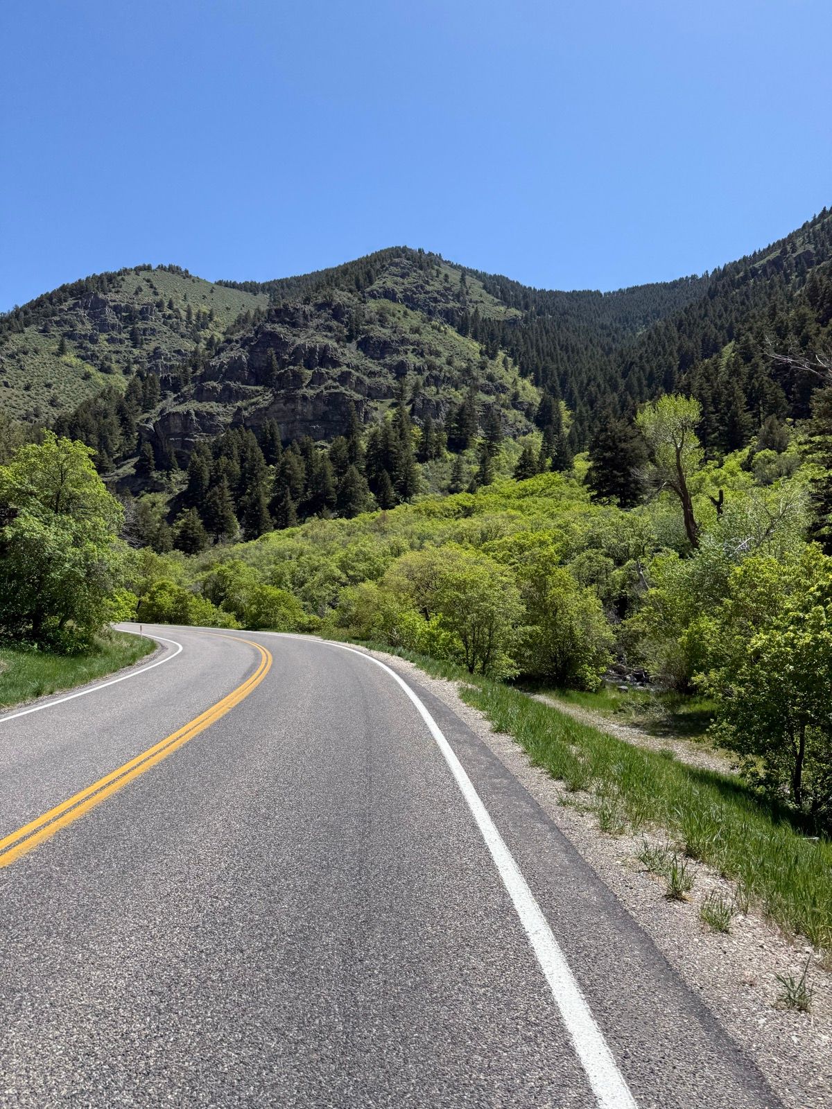A winding road surrounded by green trees and mountains under a clear blue sky in Nibley, Utah.
