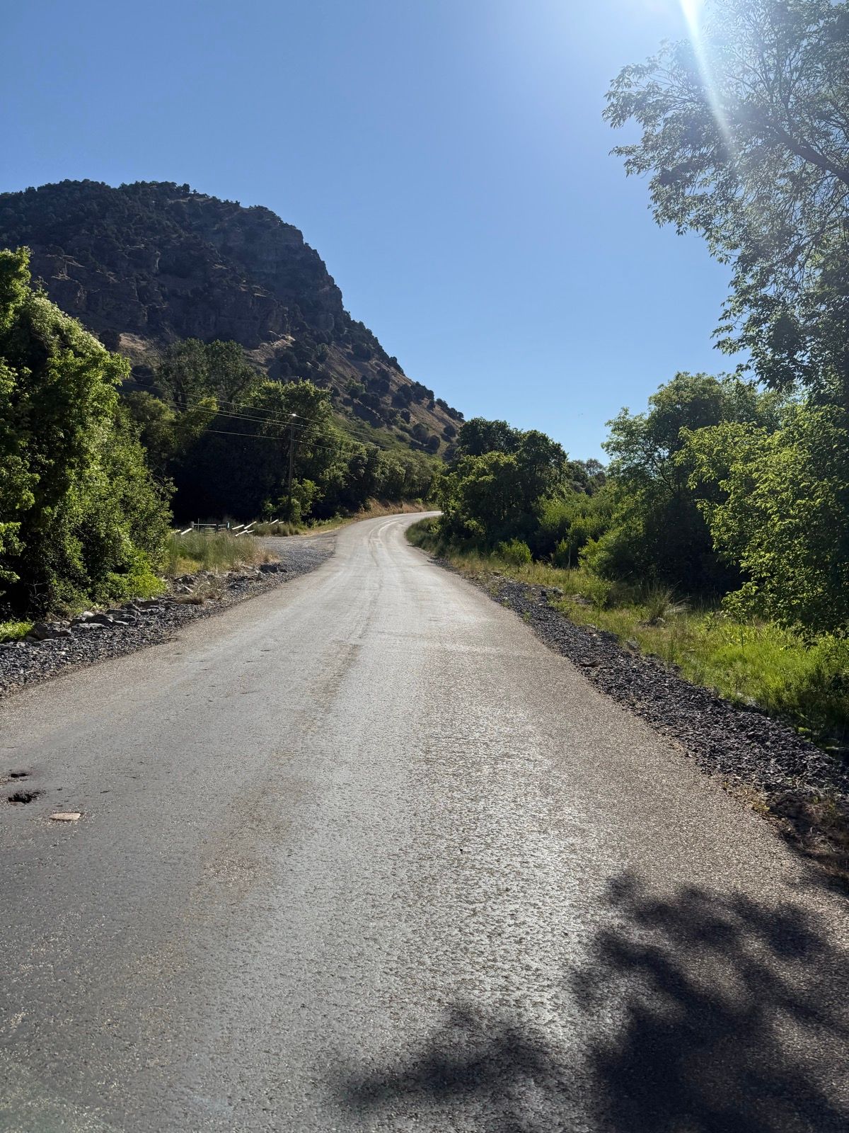 A winding road in Nibley, Utah, surrounded by lush greenery and a rocky hillside under a clear blue sky.