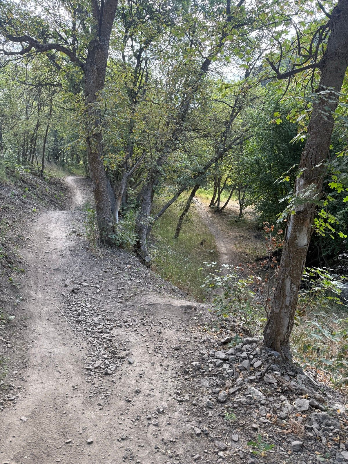 A dirt path winds through a wooded area at Providence Canyon, Utah. On either side of the trail, trees provide a lush green canopy, and the ground is scattered with rocks and soil. Two diverging trails can be seen, leading off into the distance.