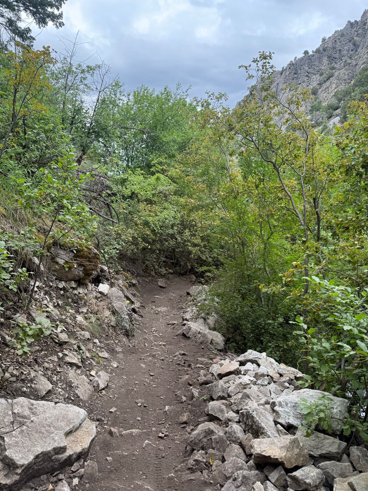A narrow dirt path leads through dense greenery in Providence Canyon, Utah, flanked by rocky terrain and low shrubs, under an overcast sky.