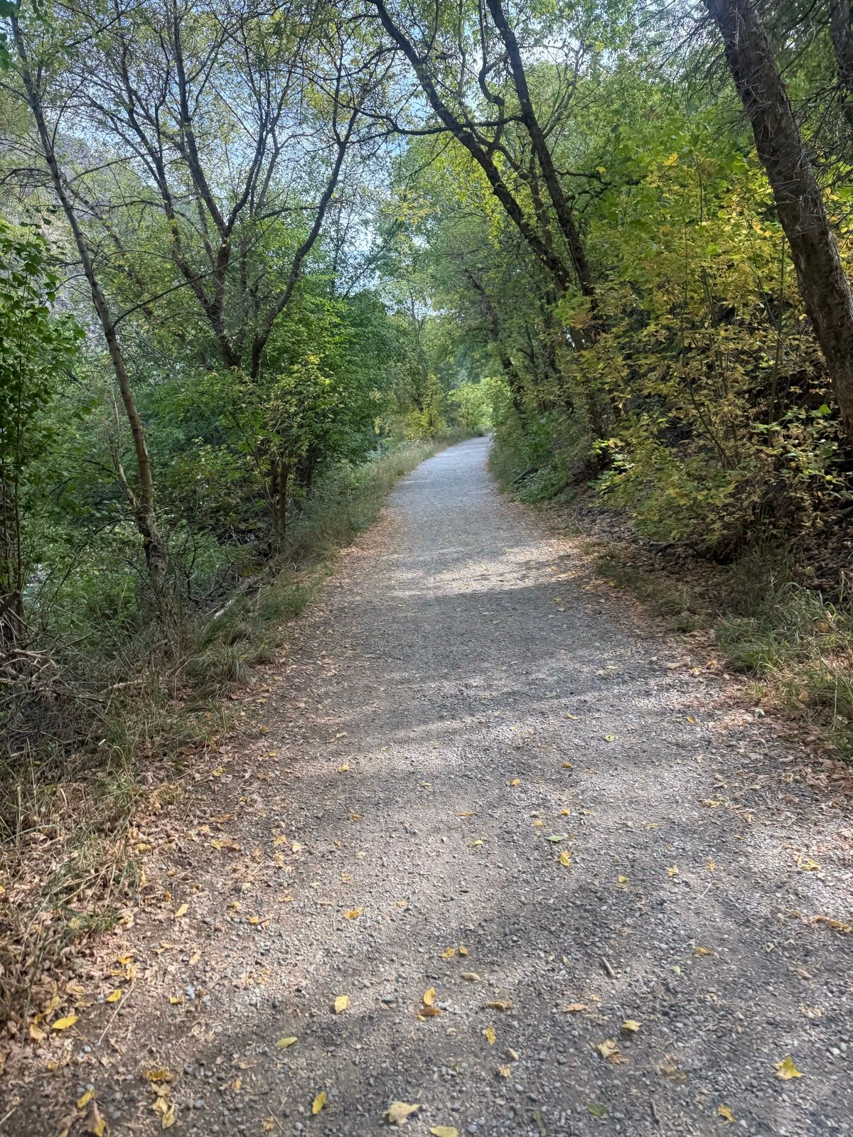 A gravel path winds through a tree-filled area in Paradise, Utah, surrounded by greenery and scattered autumn leaves. The scene captures a peaceful outdoor setting with trees on either side and a clear sky above.
