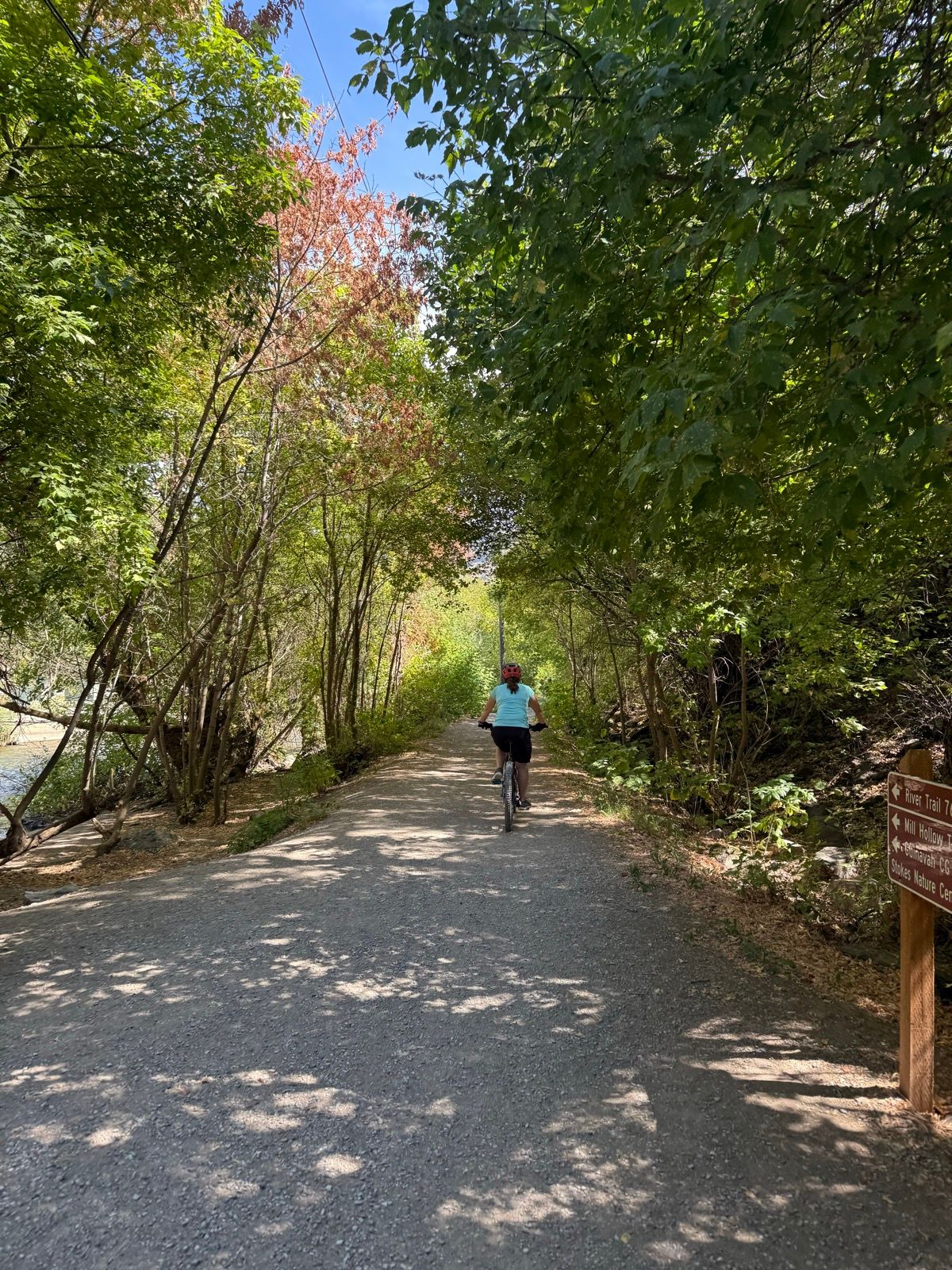 A person riding a bike on a gravel path surrounded by trees in Logan, UT. A sign indicating the direction of a trail is visible on the right side of the photo. The scene is bright and sunny, with green foliage and a clear blue sky.
