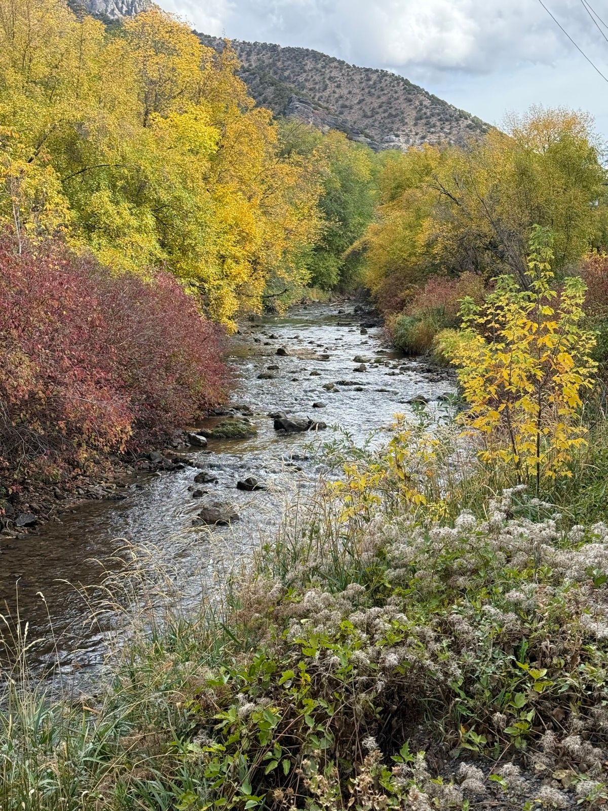 A scenic view of a stream flowing through a colorful forest in Providence, Utah. The foliage features vibrant autumn leaves in shades of yellow, orange, and red, while rocky areas are visible in the water. The backdrop includes gentle hills under a partly cloudy sky.