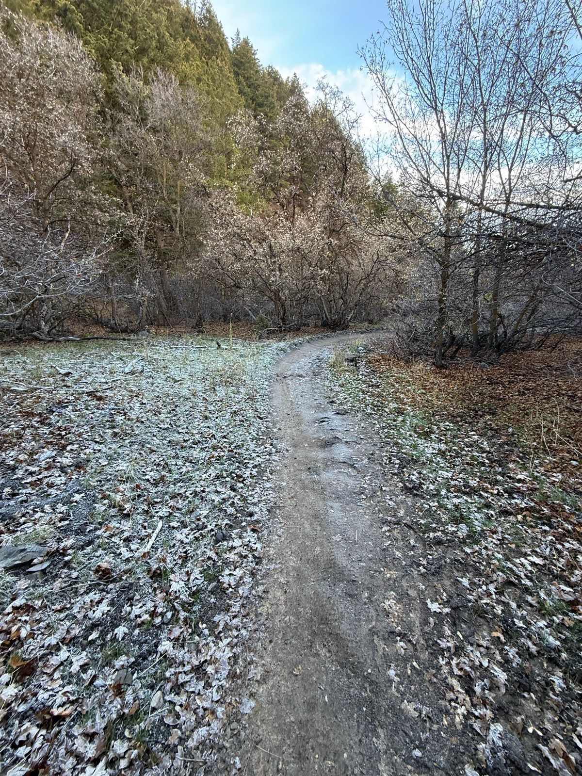 A narrow, dirt trail winds through a frosty landscape in Providence Canyon, Utah. The path is lined with fallen leaves, and trees, some bare and others with early blooms, surround the area under a cloudy sky.