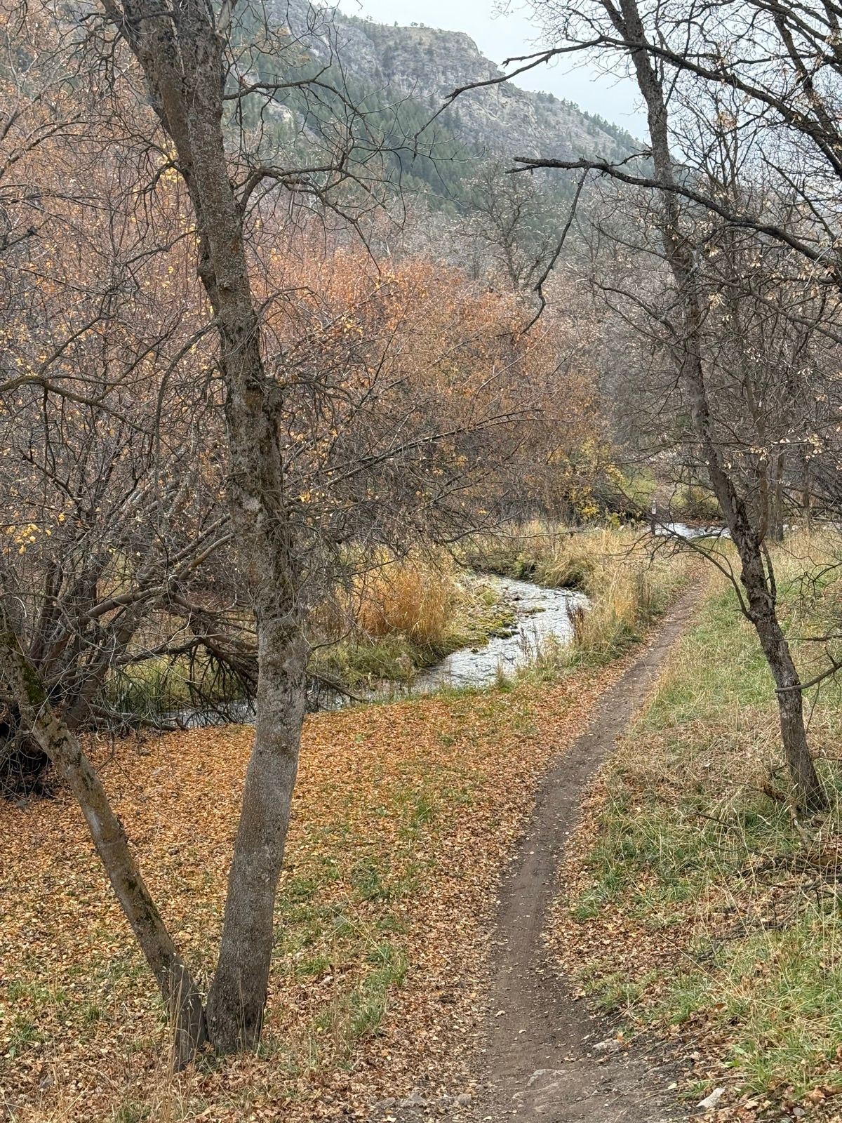 A scenic view of a winding trail lined with autumn leaves, alongside a small creek. Bare trees with scattered yellow and orange foliage are visible, set against a backdrop of mountains. The atmosphere is calm and serene, typical of Providence Canyon, Utah.