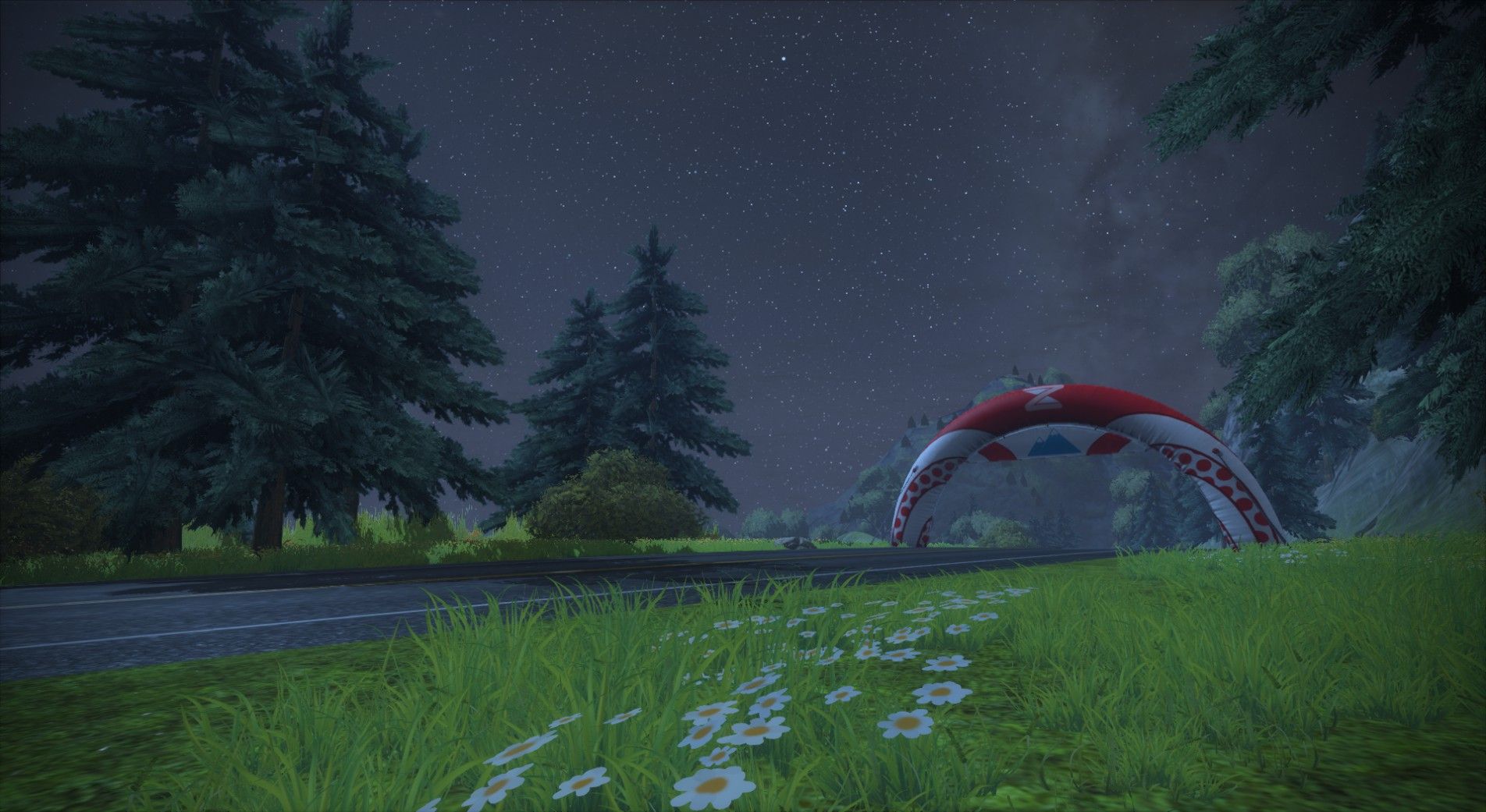 A nighttime scene in Zwift featuring tall trees, a grassy area with white daisies, and a roadway. An inflatable arch is visible in the background, set against a starry sky.