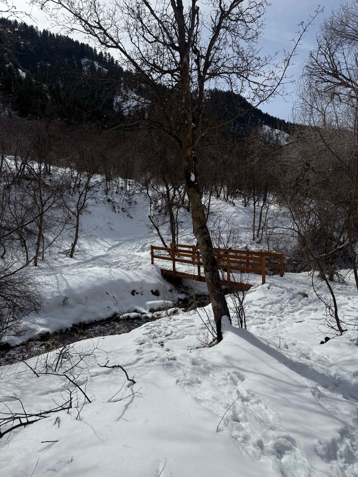 A wooden bridge crosses a small creek in a snowy landscape at Providence Canyon, Utah. Surrounding the bridge are bare trees and snow-covered ground, with mountains visible in the background under a partly cloudy sky.
