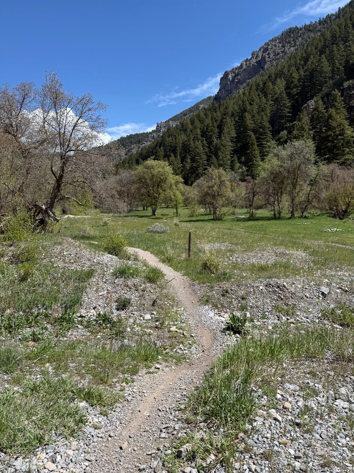 A winding dirt path leads through a grassy area surrounded by trees, with mountains visible in the background under a clear blue sky. The landscape is vibrant and green, typical of Providence Canyon, Utah.