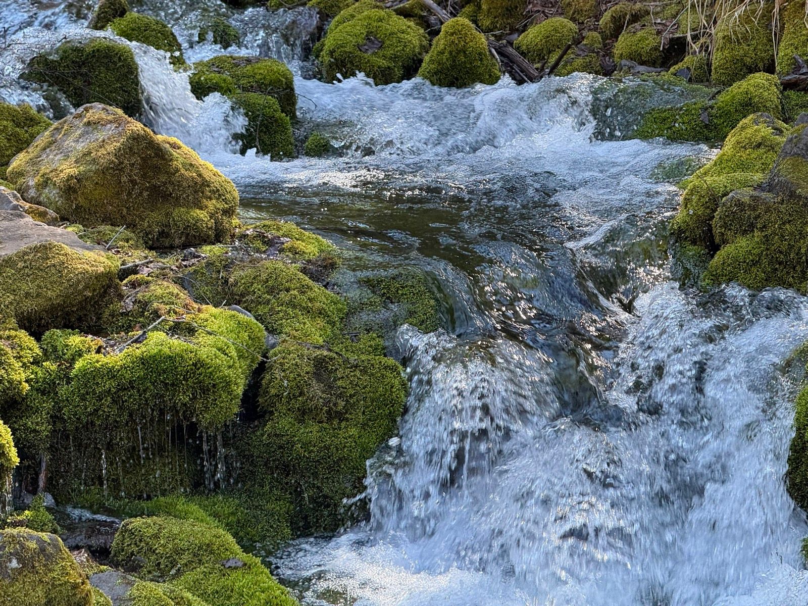 A close-up view of a flowing stream in Paradise, Utah, featuring green moss-covered rocks and clear water cascading over them.