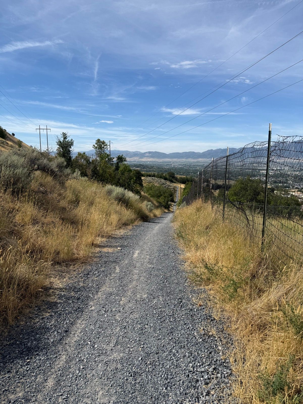 A gravel trail surrounded by tall grass and bushes, leading downhill with power lines visible overhead. The sky is clear with a few clouds, and mountains can be seen in the distance.