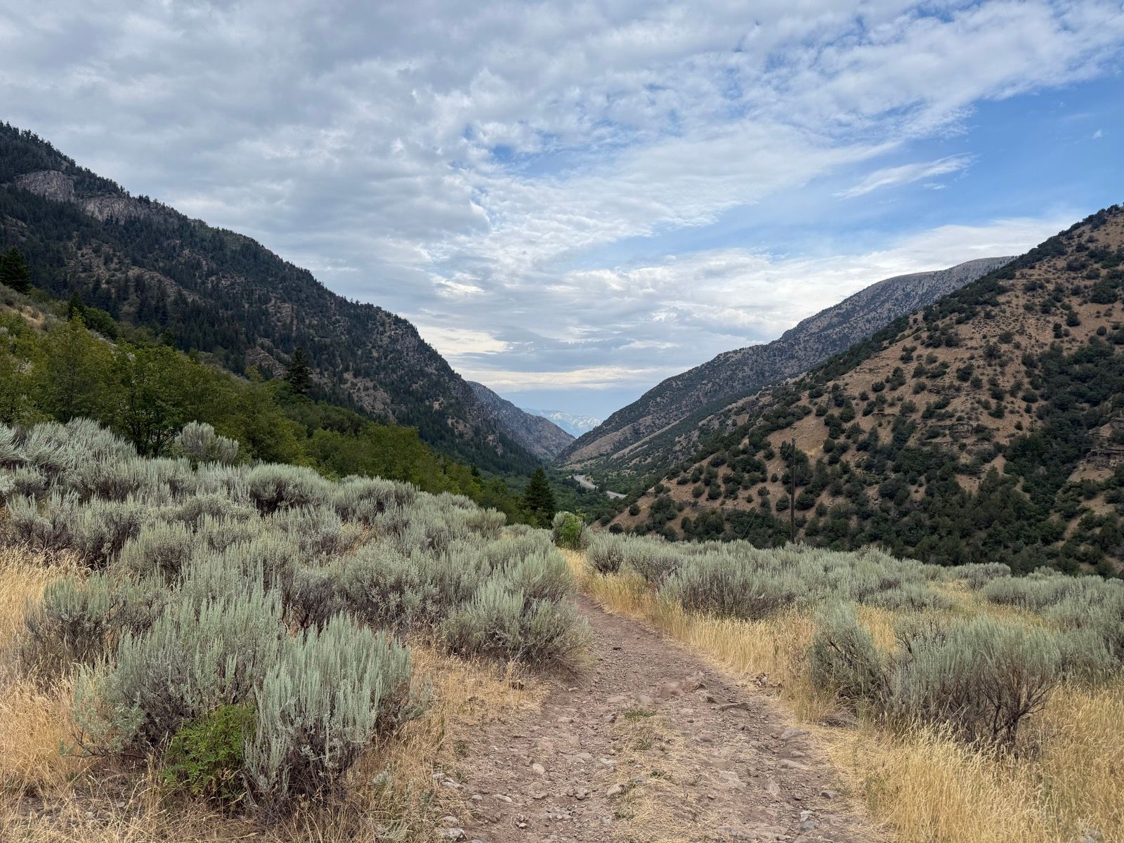 A scenic view of a pathway winding through sagebrush and tall grass, flanked by mountains in Providence, Utah. The sky is partly cloudy, and the landscape features lush greenery along the trail, with rocky hills in the background.