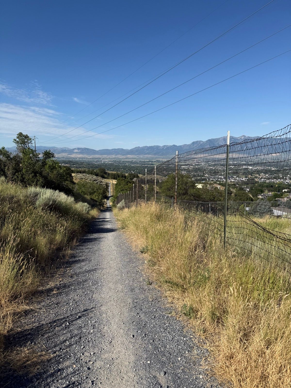 A gravel path winds down a hillside with tall grass on either side, leading toward a valley. Fences line the path, and in the background, mountains rise under a clear blue sky.