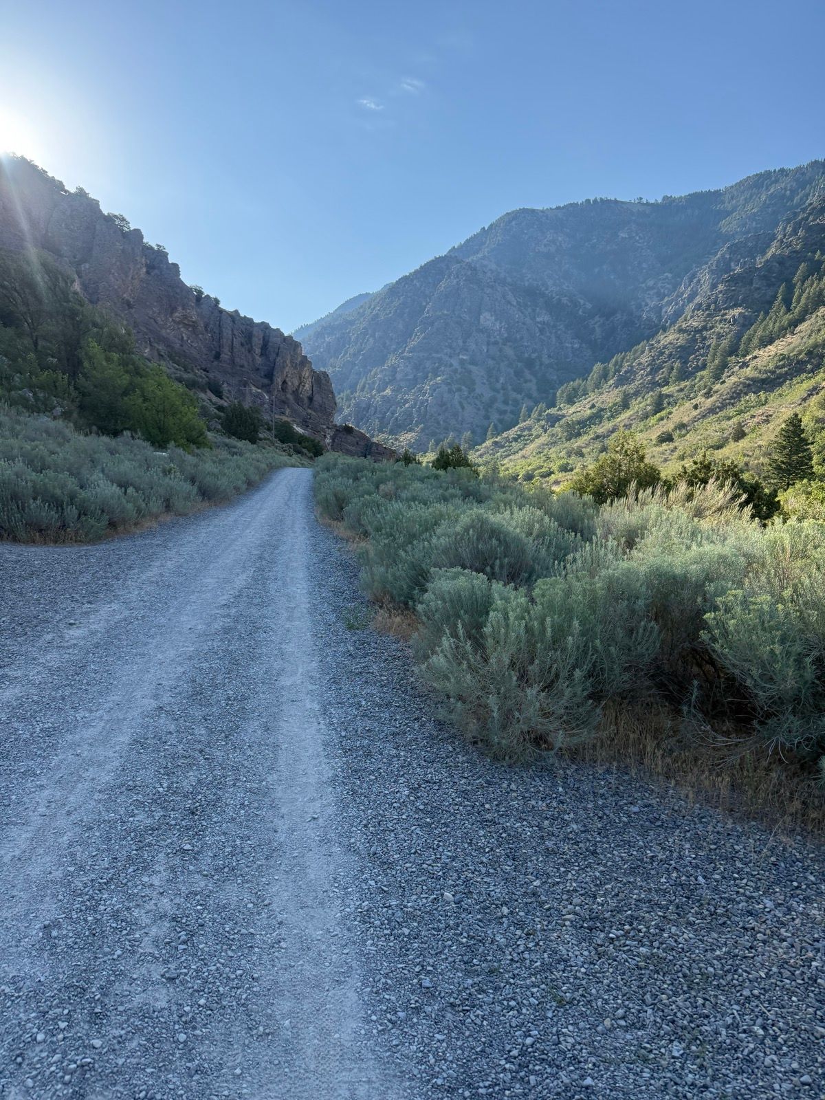 A gravel road winds through a lush valley, surrounded by rocky hills and mountains under a clear blue sky in Paradise, Utah. Sagebrush and greenery line the sides of the path.