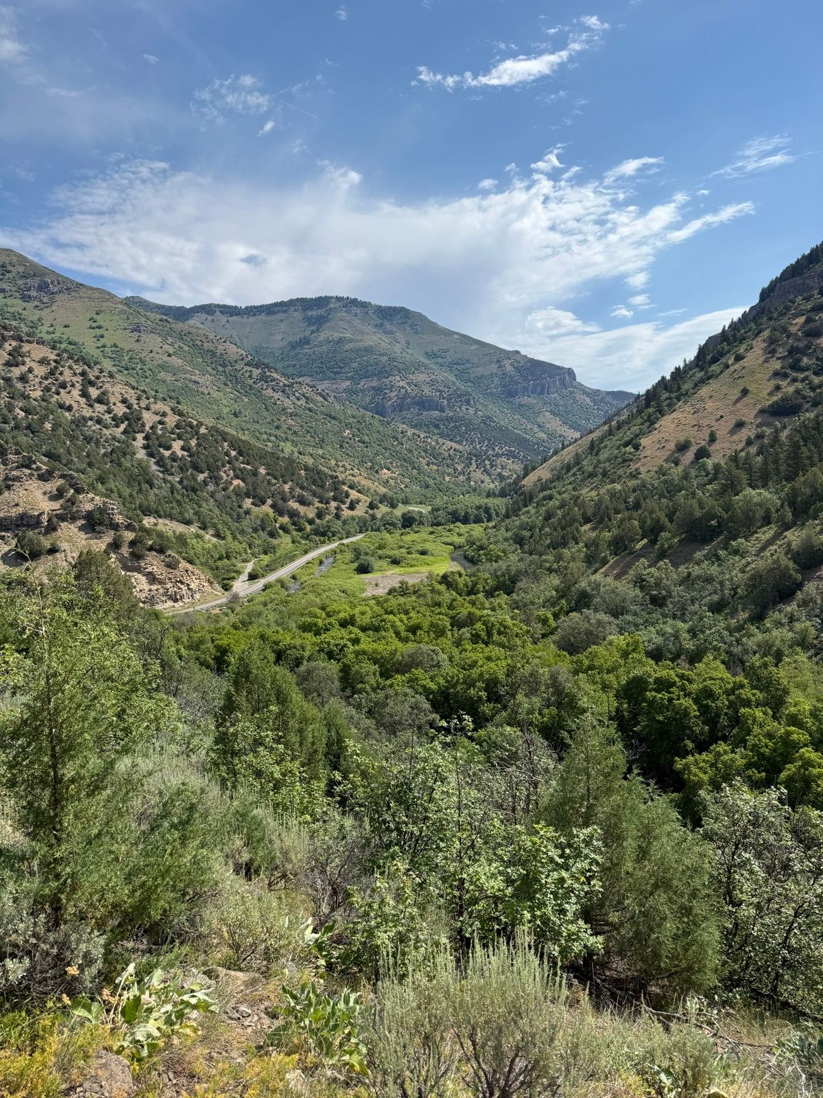 A scenic view of rolling hills and mountains in Paradise, Utah, featuring lush green vegetation and a winding road in the valley below under a partly cloudy sky.