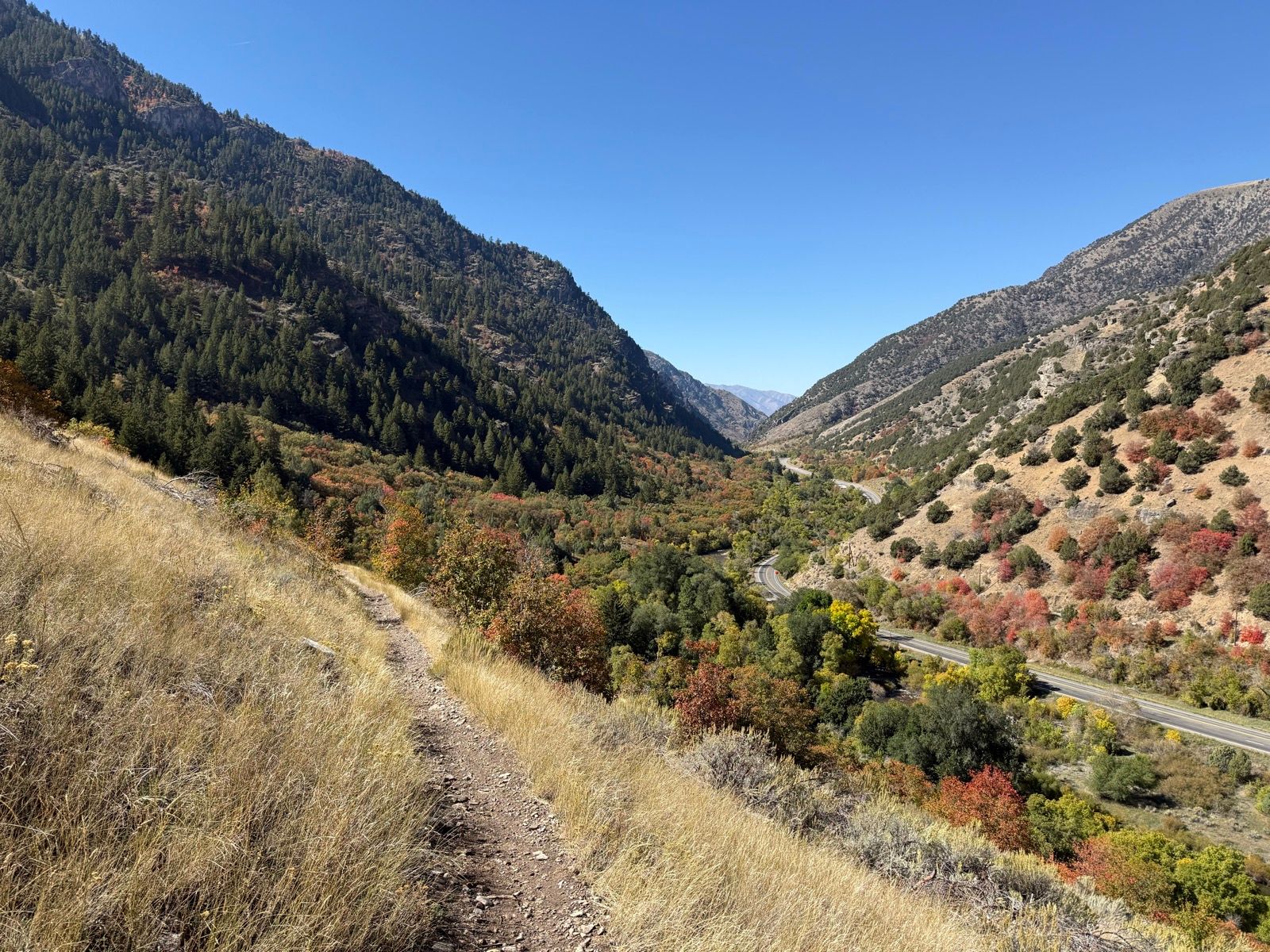 A scenic view of a valley in Paradise, Utah, featuring a winding road surrounded by colorful autumn foliage and mountains. A dirt path runs along the side of a grassy hill, with pine trees and vibrant fall colors visible in the landscape under a clear blue sky.