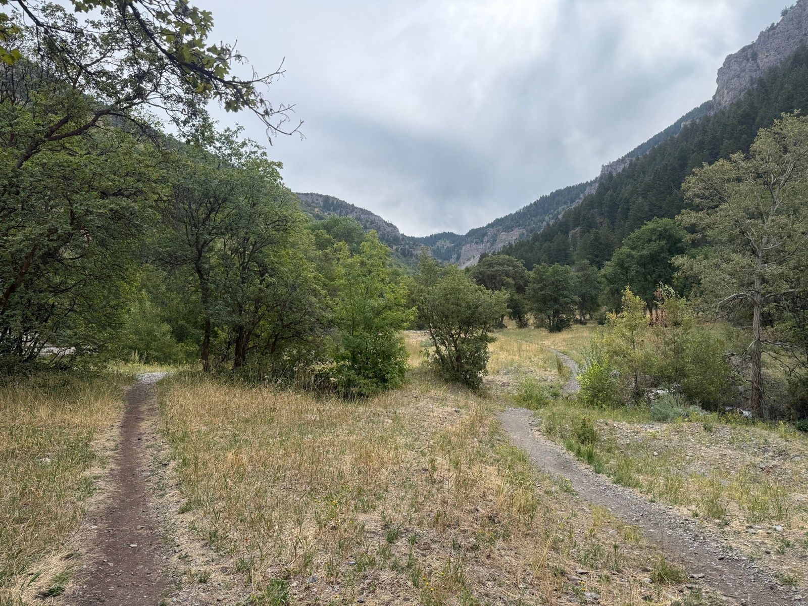 A view of a fork in a dirt trail surrounded by greenery and mountains in Providence Canyon, Utah, under a cloudy sky.