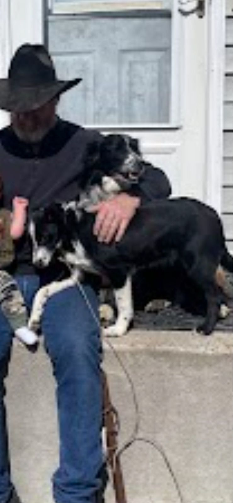 A person wearing a hat sits on a step with two black and white dogs. One dog is in their lap, and the other is beside them. Behind them is a door with a light-colored frame. The setting is sunny and casual.